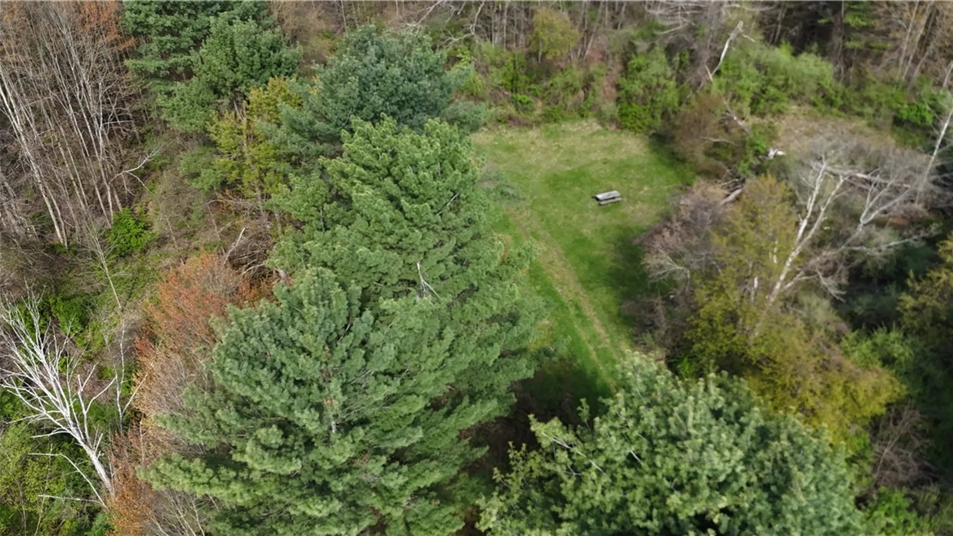 Property at 9155 Smith Road, Lindley, NY 14858 21