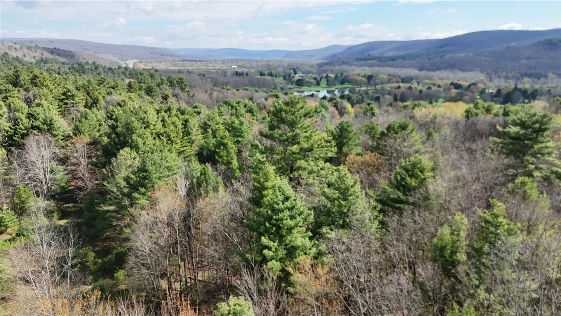 Property at 9155 Smith Road, Lindley, NY 14858 23
