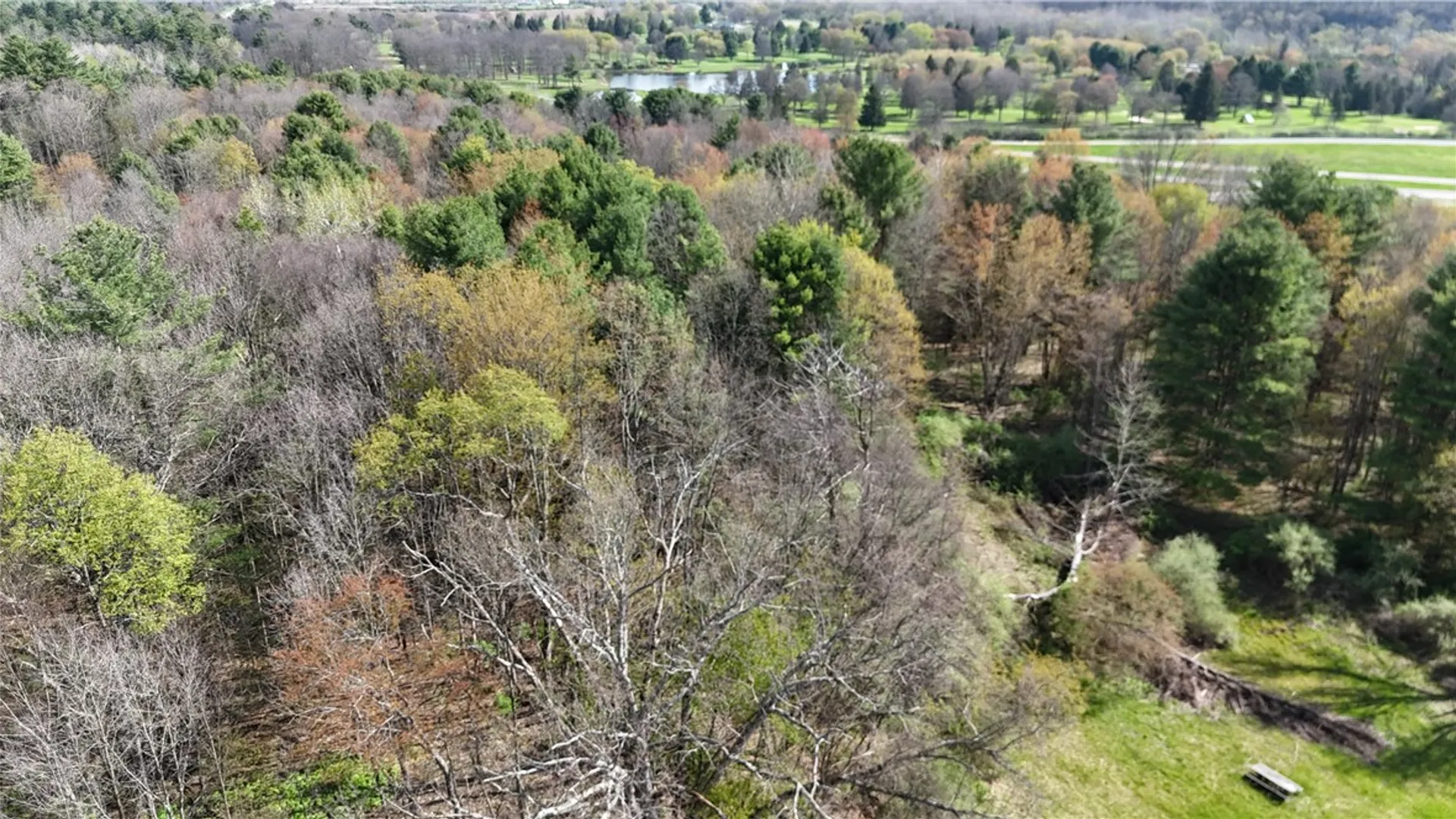 Property at 9155 Smith Road, Lindley, NY 14858 25