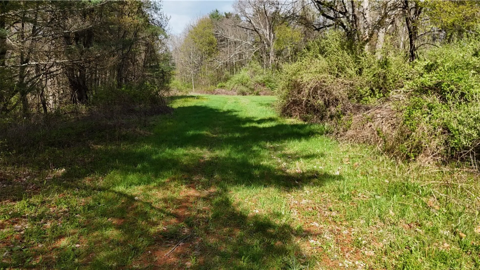 Property at 9155 Smith Road, Lindley, NY 14858 28
