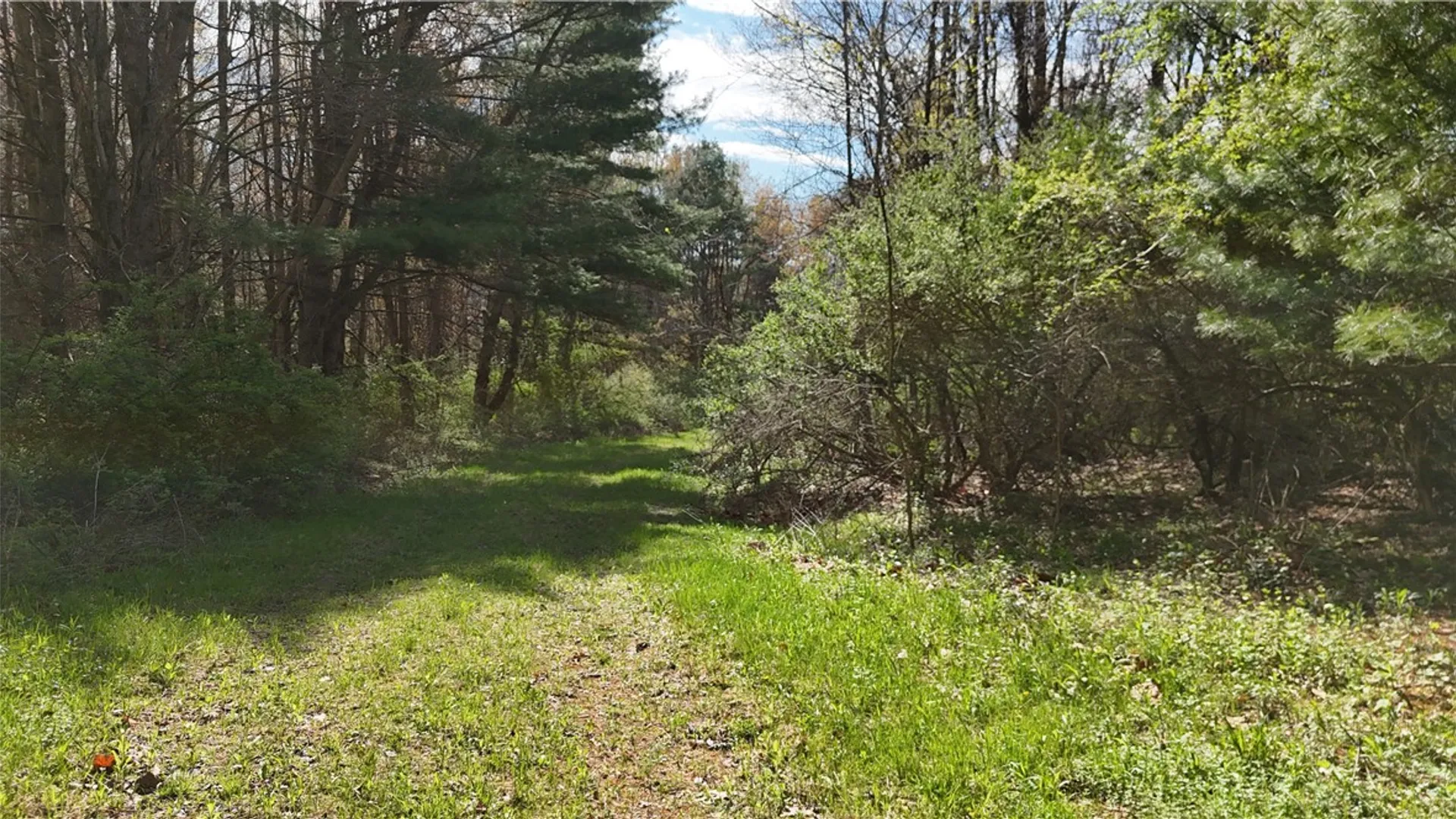 Property at 9155 Smith Road, Lindley, NY 14858 29