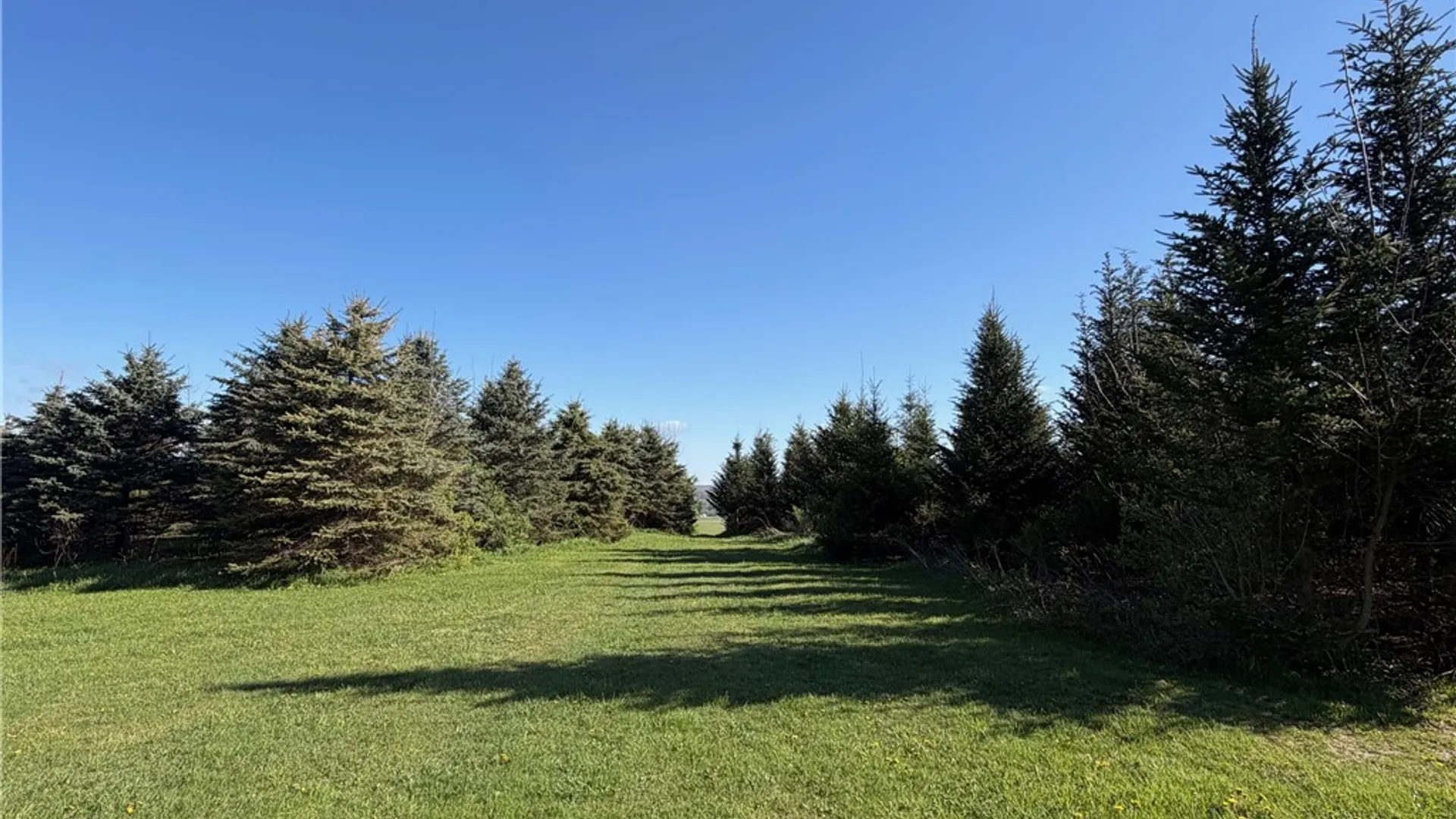 Property at 9467 Reagan Road, French Creek, NY 14724 11