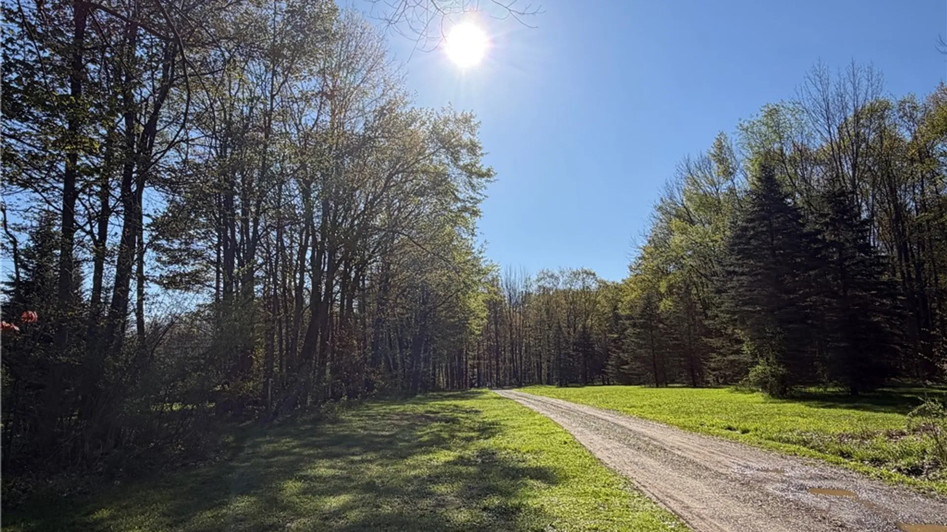 Property at 9467 Reagan Road, French Creek, NY 14724 14