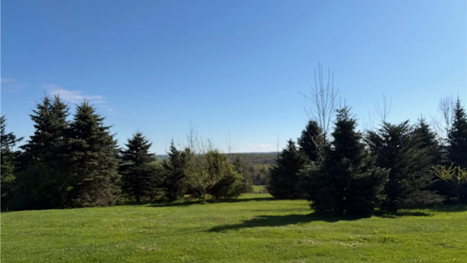 Property at 9467 Reagan Road, French Creek, NY 14724 15