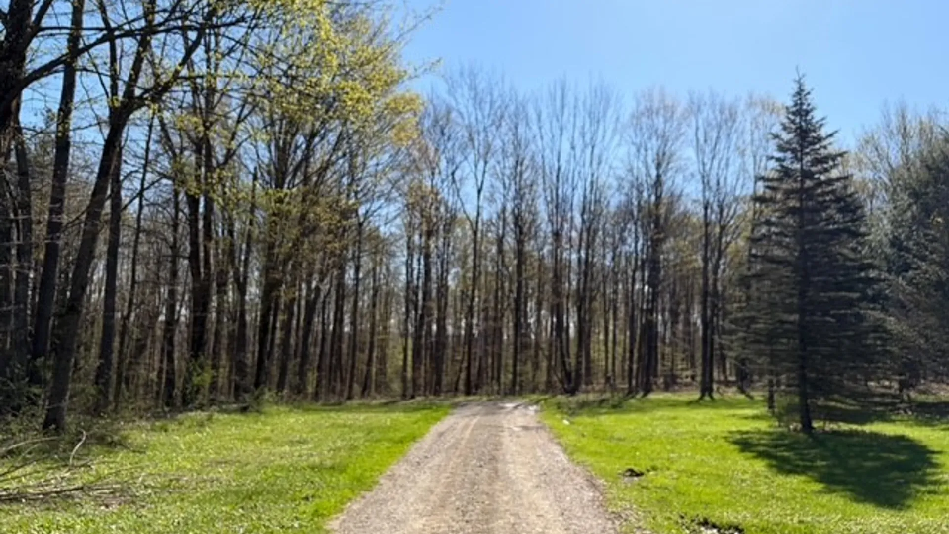 Property at 9467 Reagan Road, French Creek, NY 14724 36