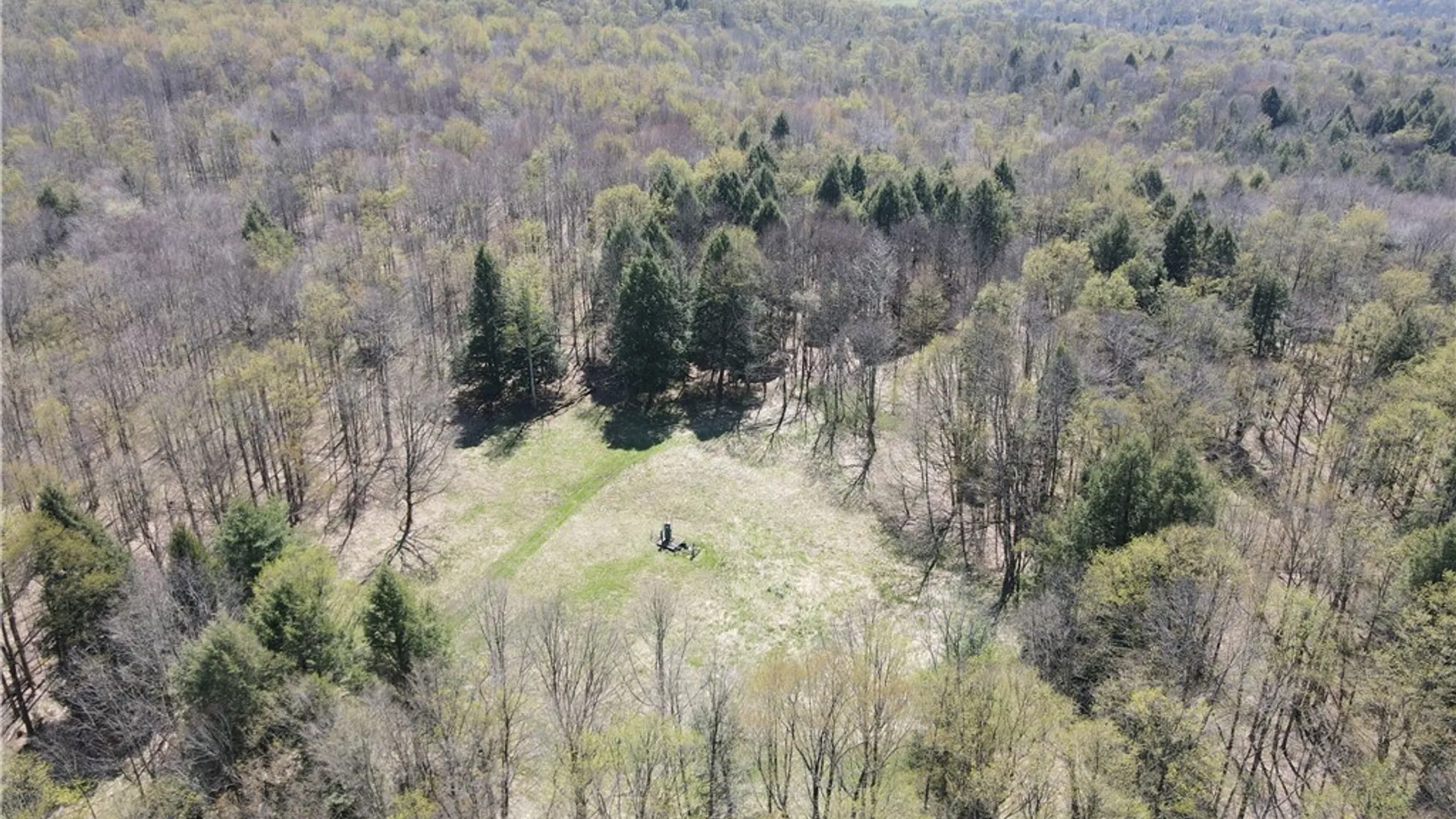 Property at 9467 Reagan Road, French Creek, NY 14724 39