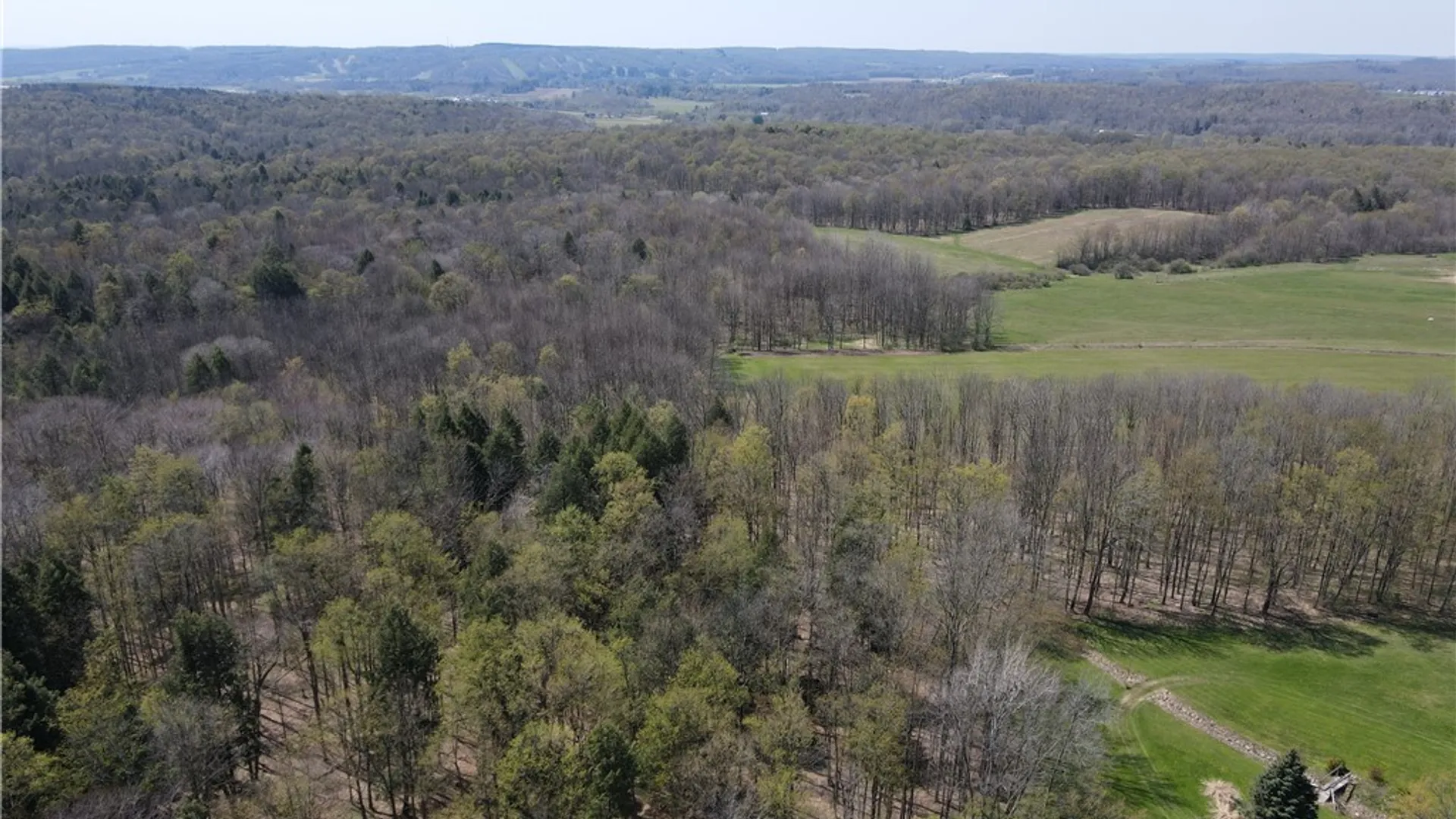 Property at 9467 Reagan Road, French Creek, NY 14724 40