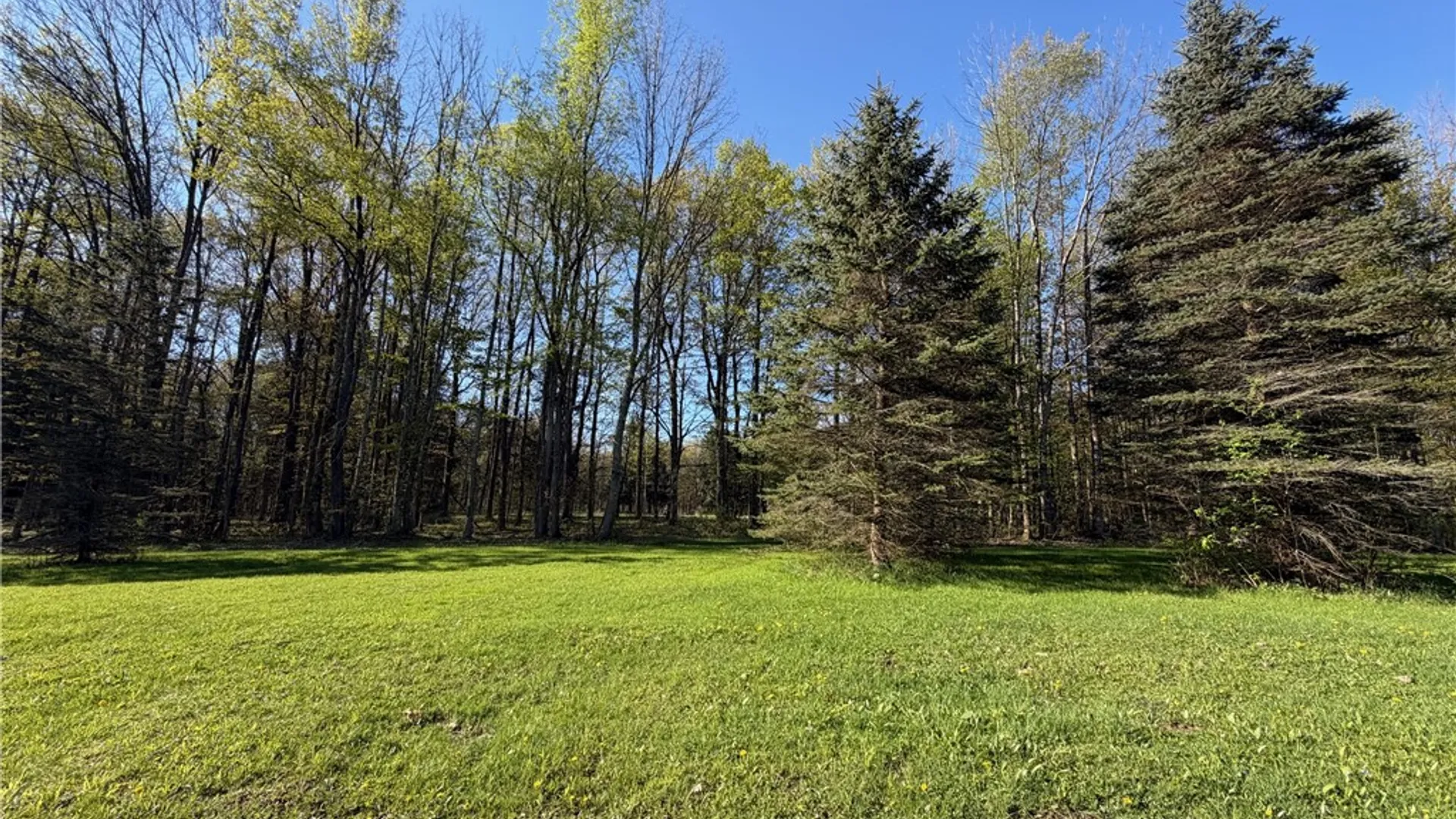 Property at 9467 Reagan Road, French Creek, NY 14724 46