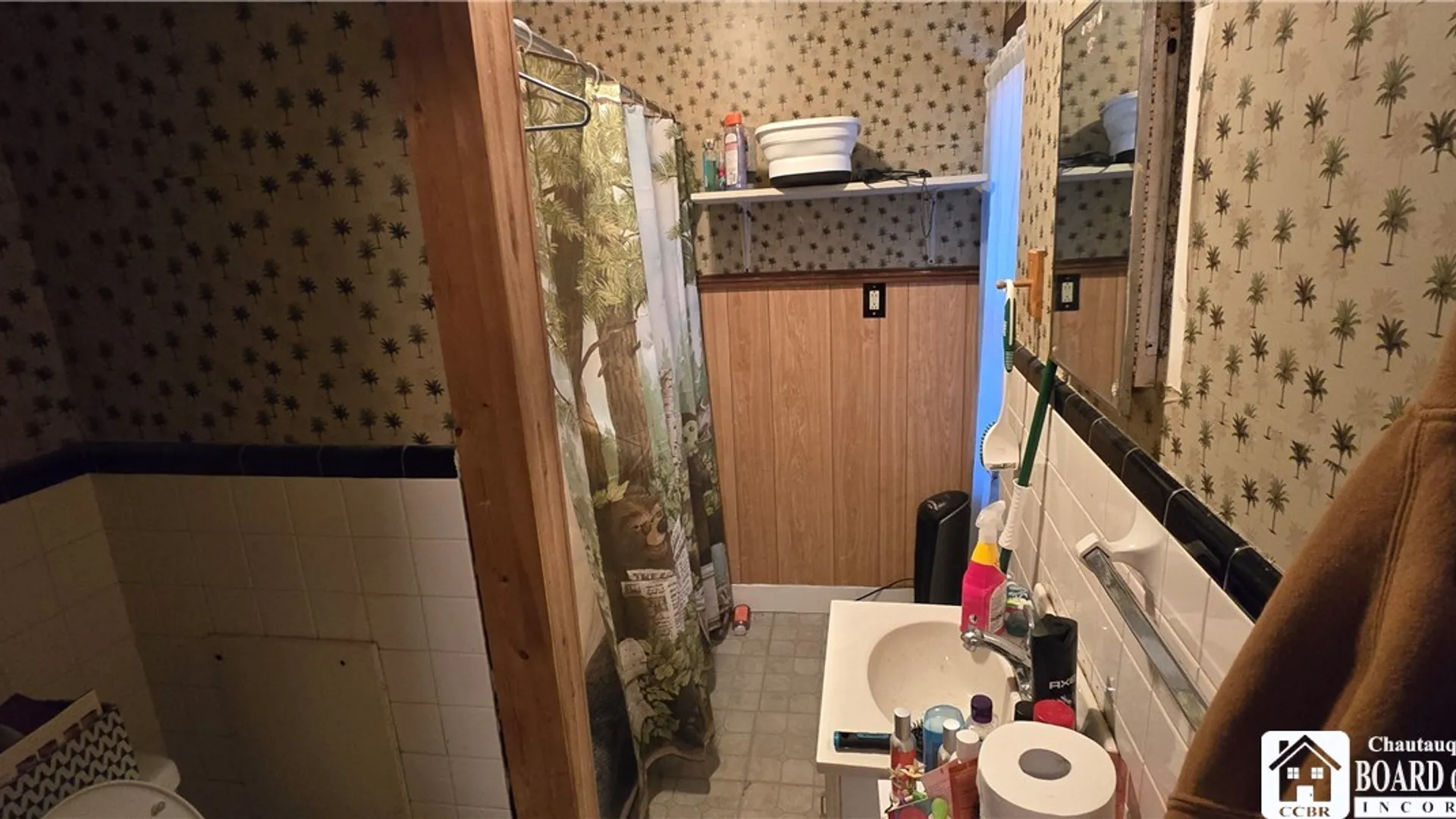 Property at 217 N 5th Street, Olean, NY 14760 7