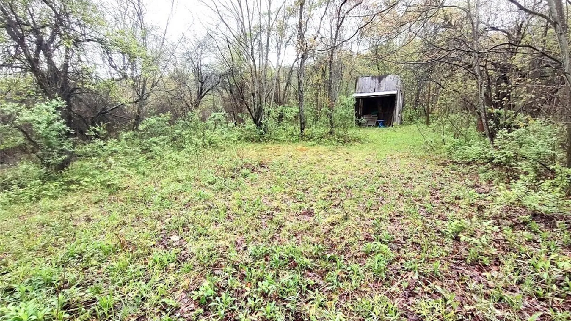 Property at Bozard Hill Road, Humphrey, NY 14741 6
