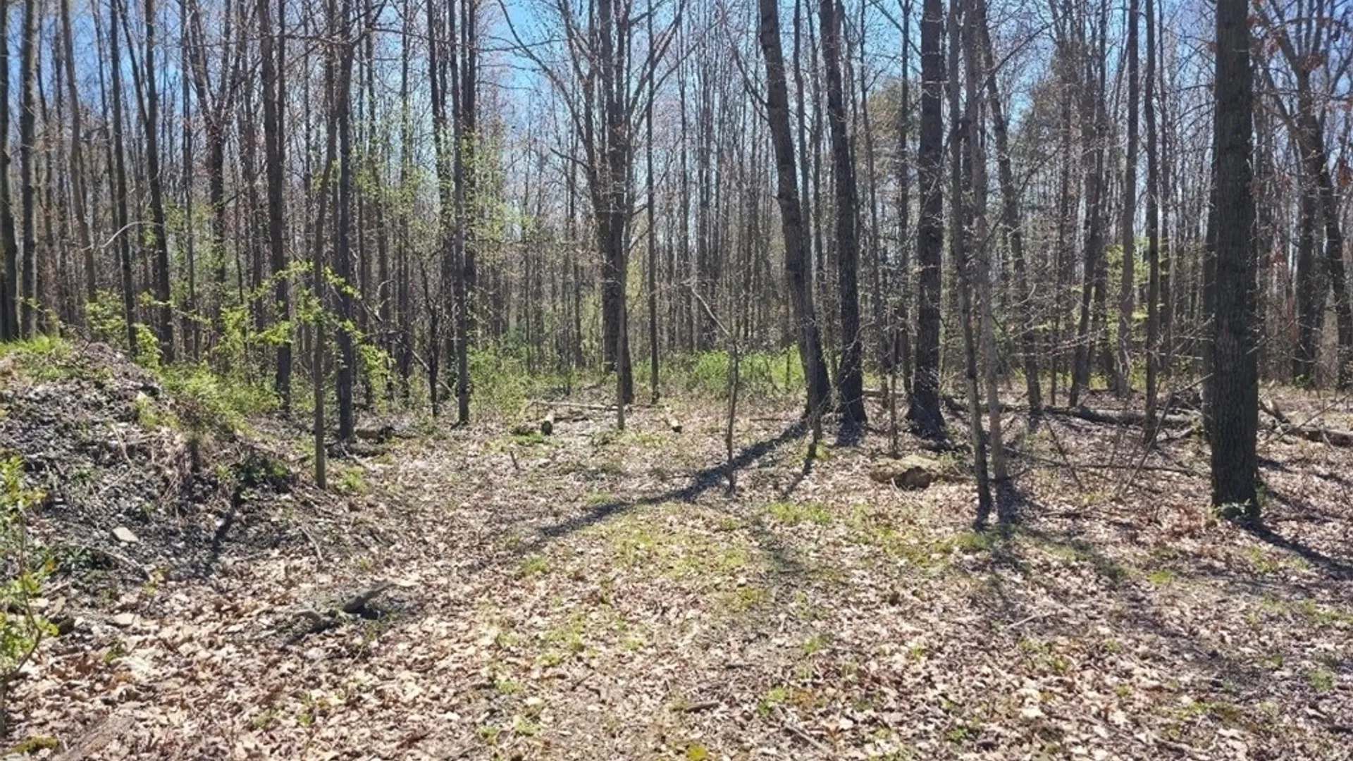 Property at 0 Mead Road, Catlin, NY 14869 8