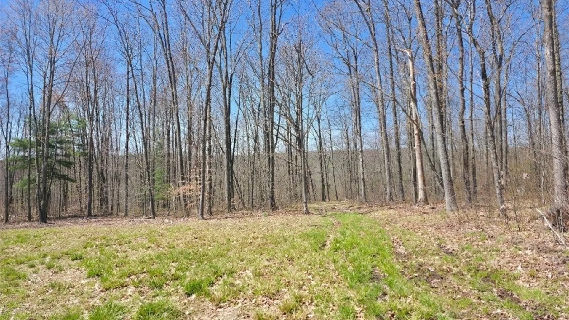 Property at 0 Mead Road, Catlin, NY 14869 11