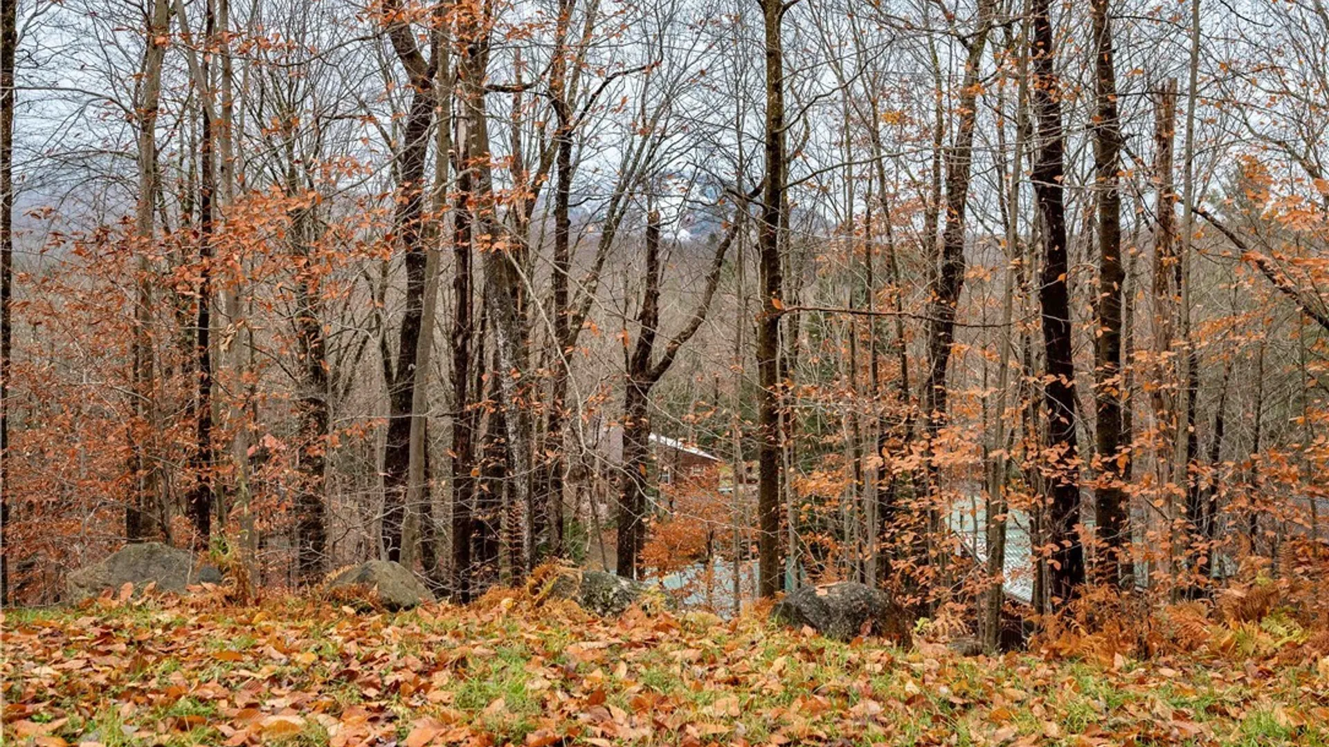 Property at 103 Pawnee Drive, Webb, NY 13420 13