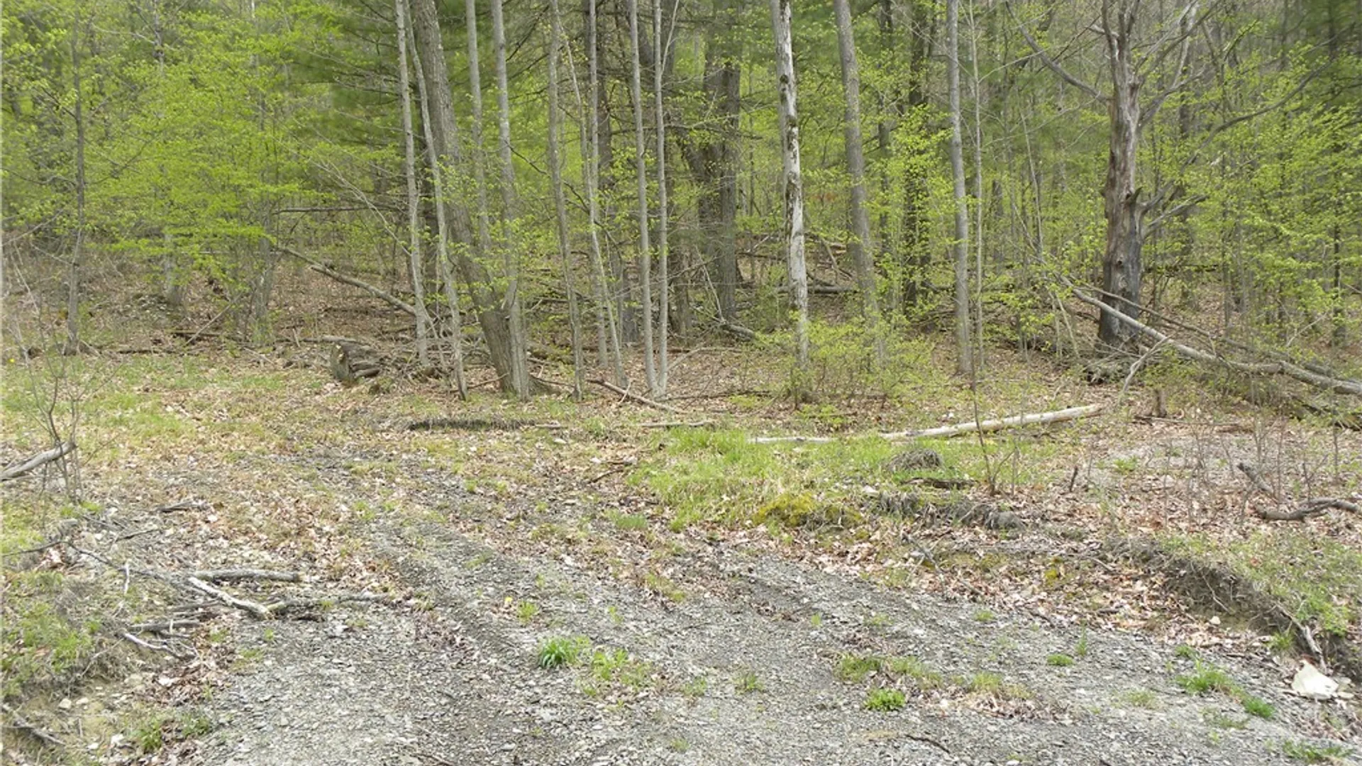 Property at Lot 15 Hibbard Road, Big Flats, NY 14814 3