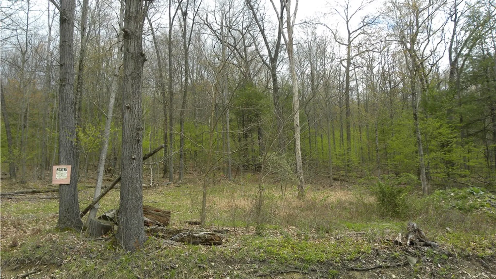 Property at Lot 15 Hibbard Road, Big Flats, NY 14814 4