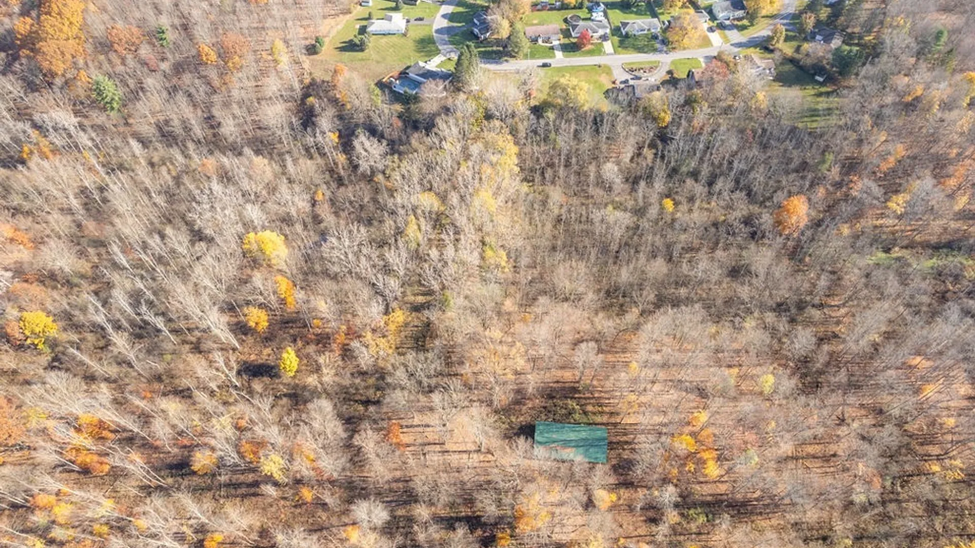 Property at 60 Ridgeway Sites Avenue, Minetto, NY 13115 26