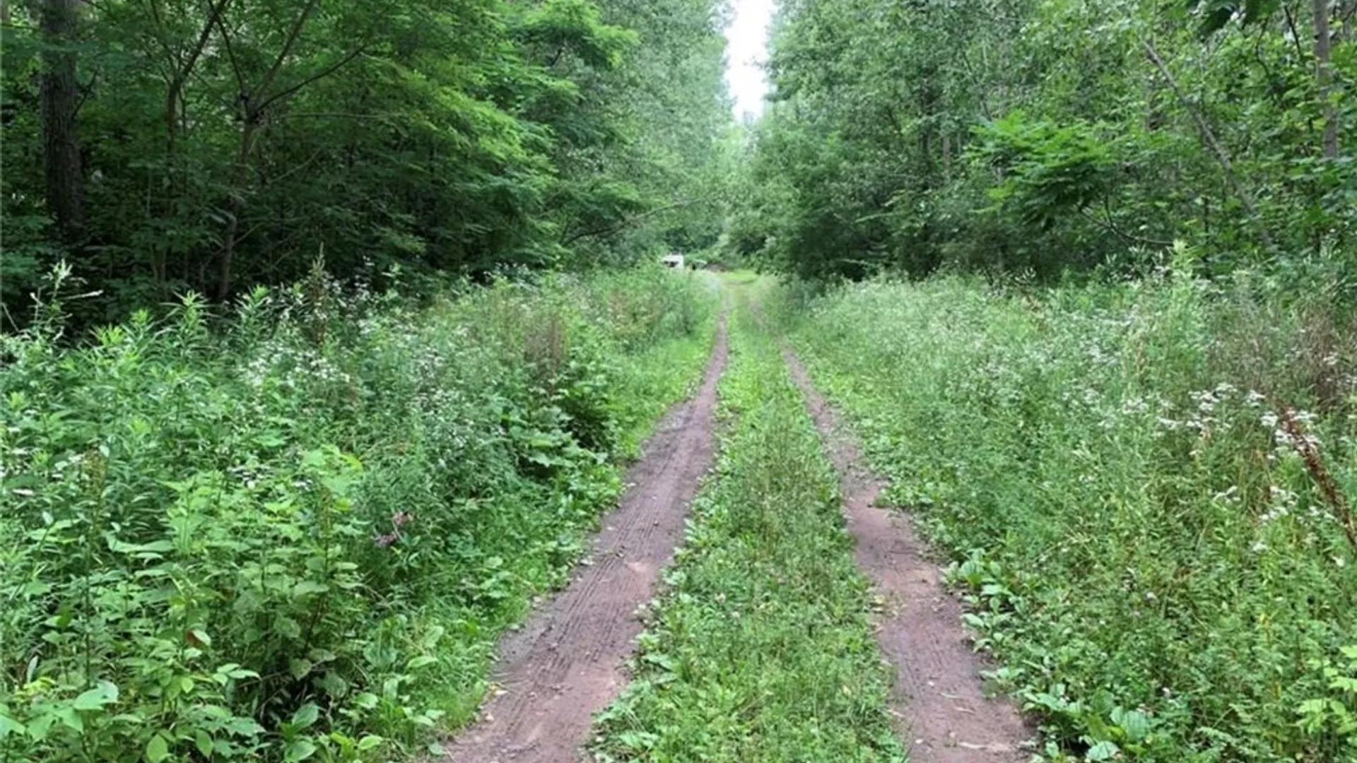 Property at 60 Ridgeway Sites Avenue, Minetto, NY 13115 37
