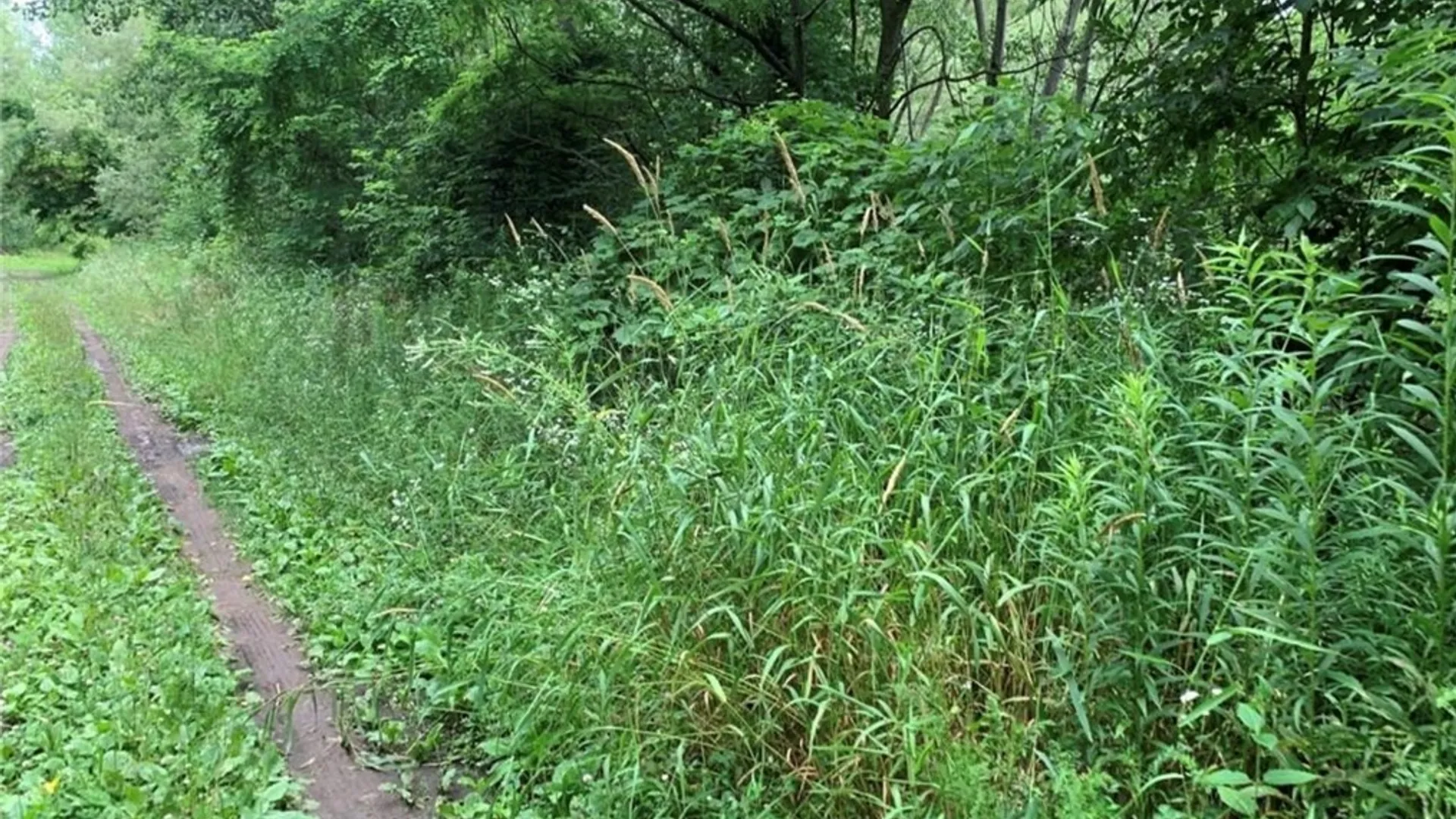 Property at 60 Ridgeway Sites Avenue, Minetto, NY 13115 38