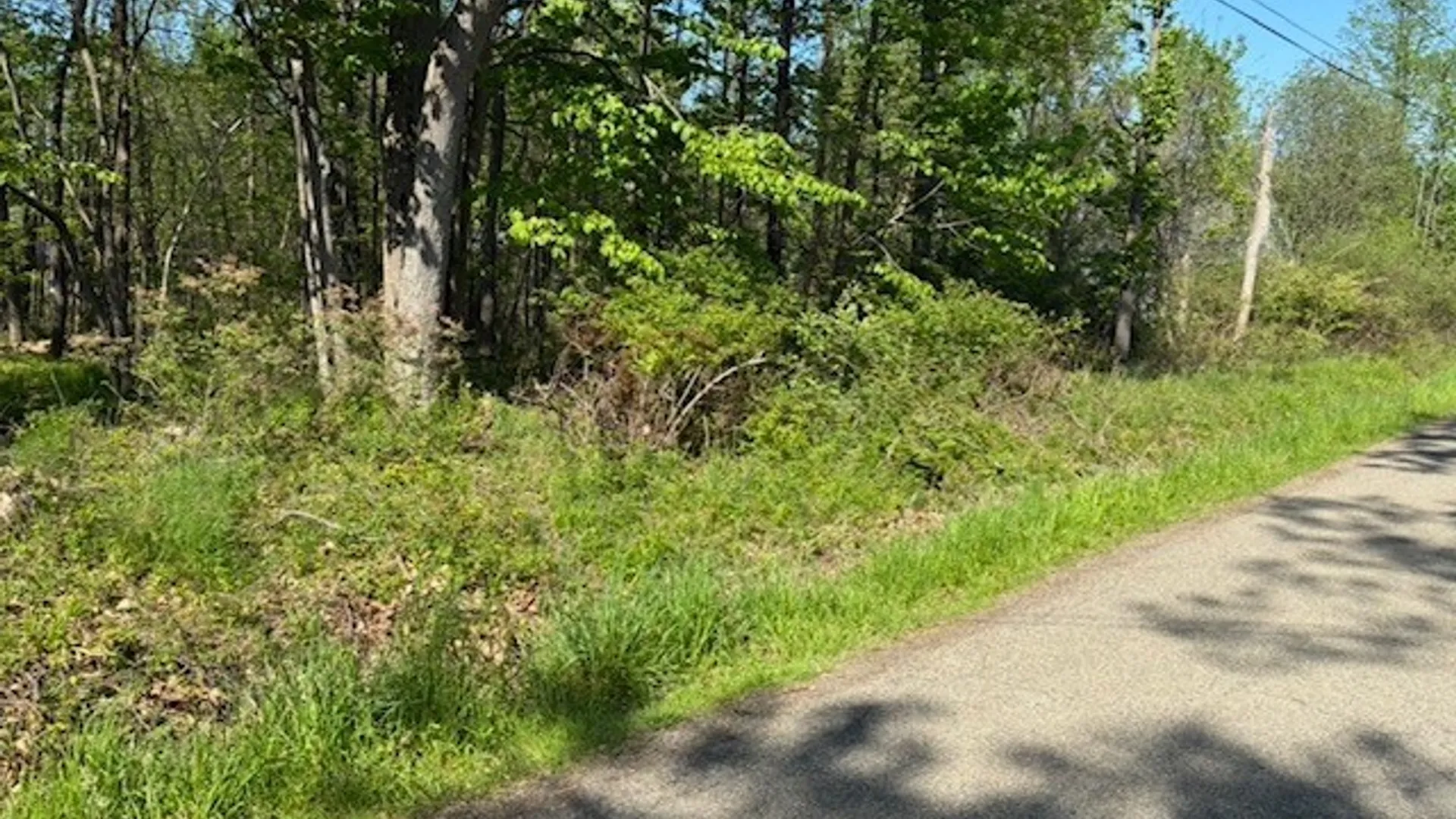 Property at Argyle Avenue, Evans, NY 14006 3