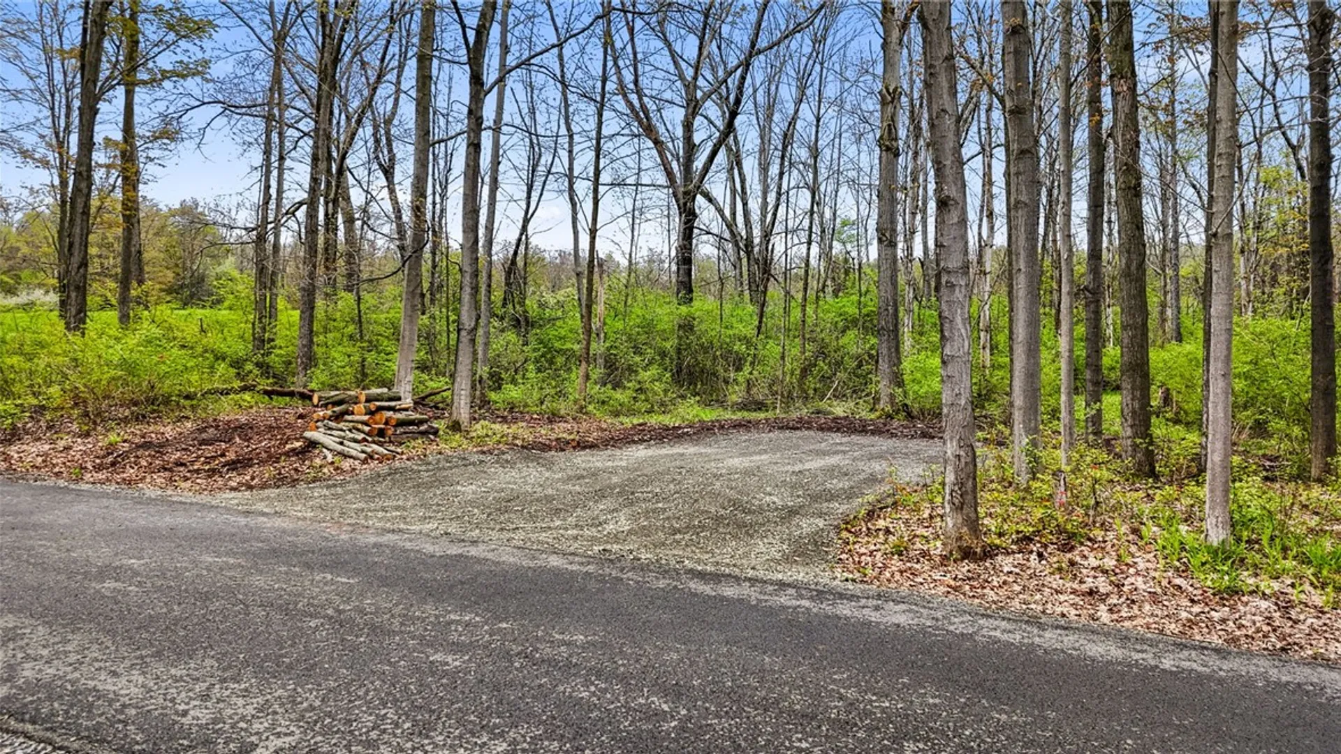 Property at Savercool Road, Covert, NY 14886 5