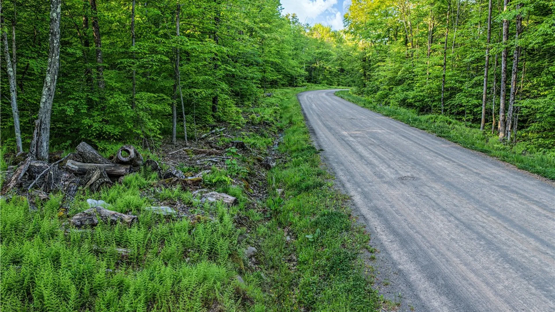 Property at Lots 19, 22, 25 Frank Slawson Road, Davenport, NY 13820 2