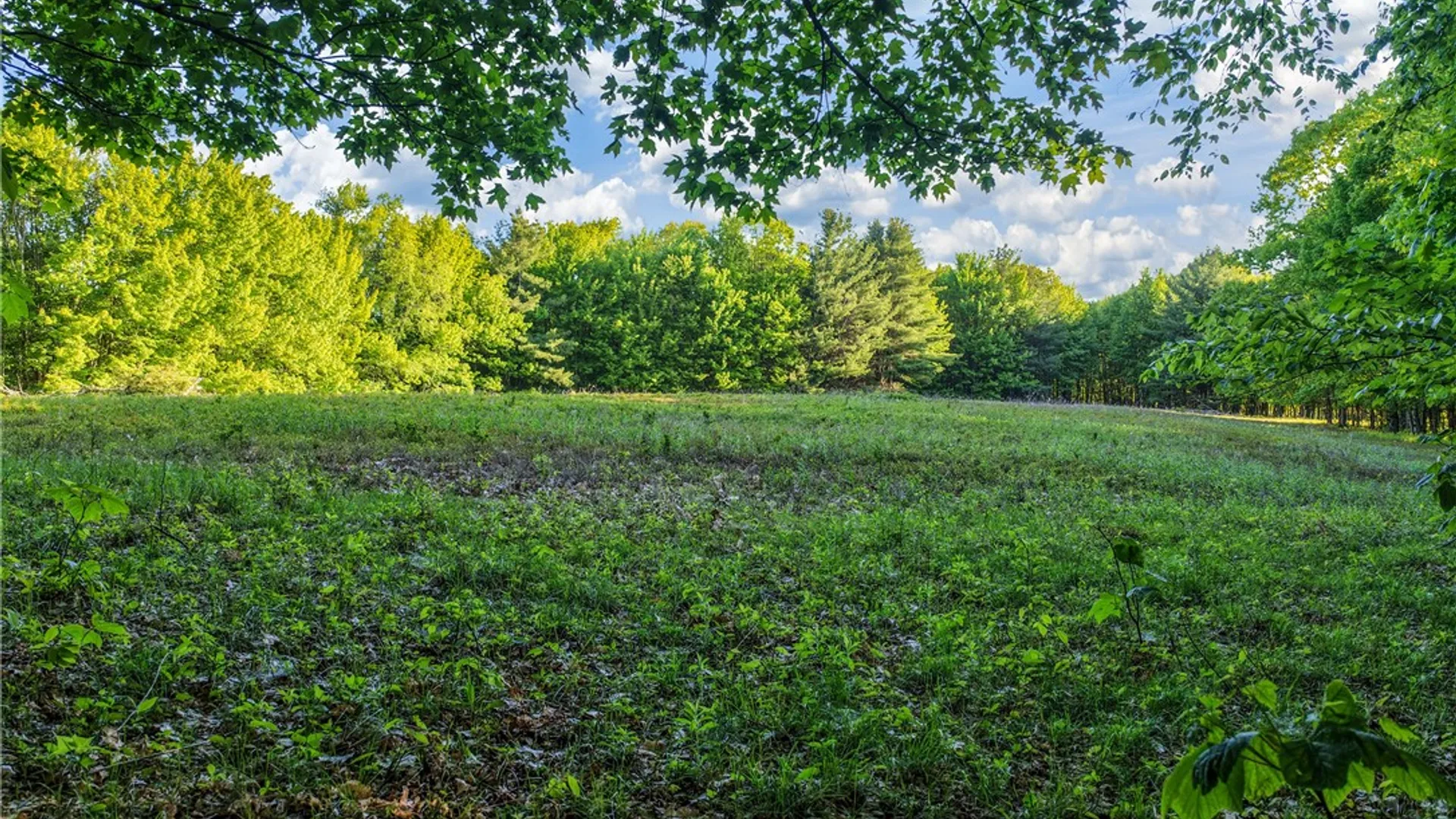 Property at Lots 19, 22, 25 Frank Slawson Road, Davenport, NY 13820 11