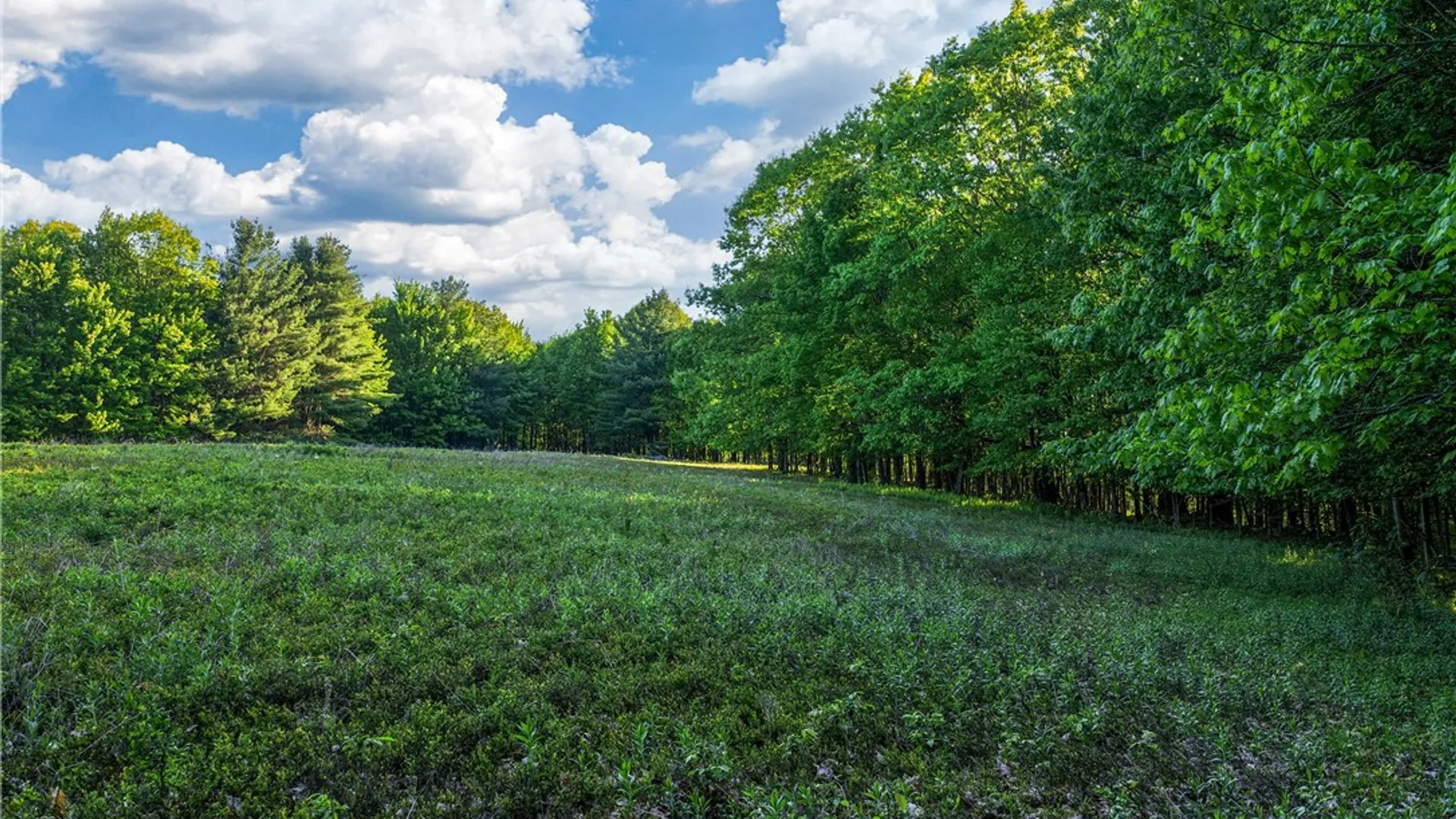 Property at Lots 19, 22, 25 Frank Slawson Road, Davenport, NY 13820 12