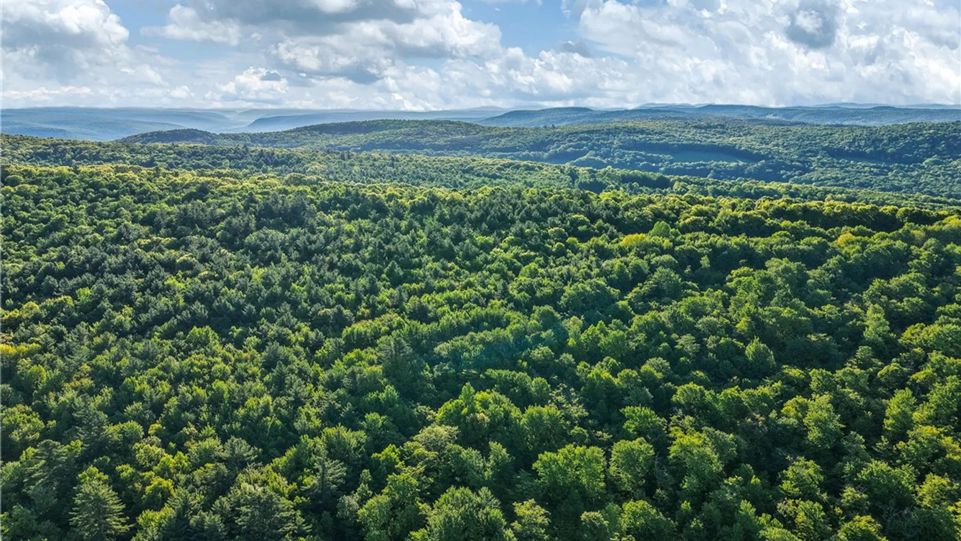 Property at Lots 19, 22, 25 Frank Slawson Road, Davenport, NY 13820 13