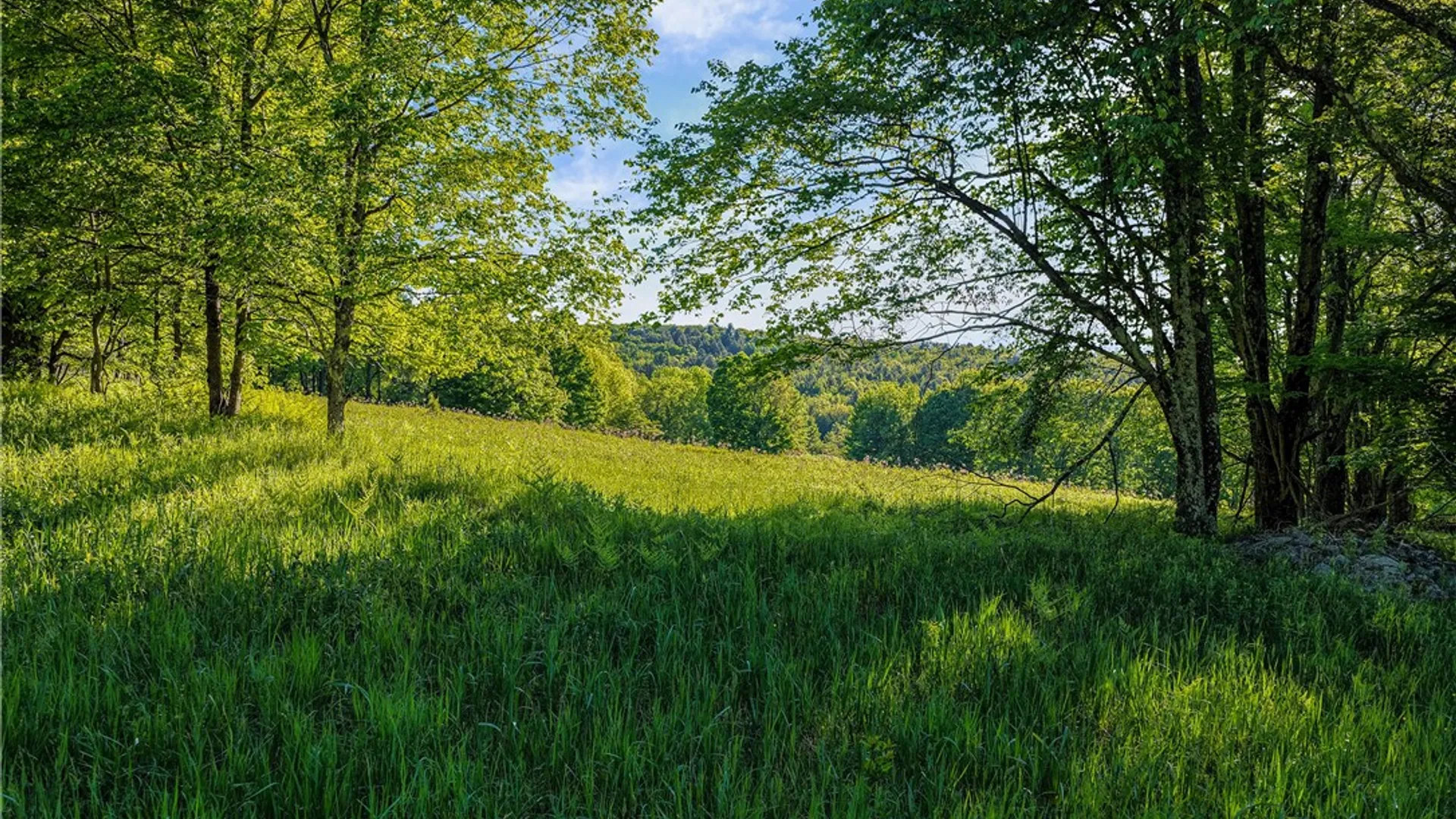 Property at Lots 19, 22, 25 Frank Slawson Road, Davenport, NY 13820 16