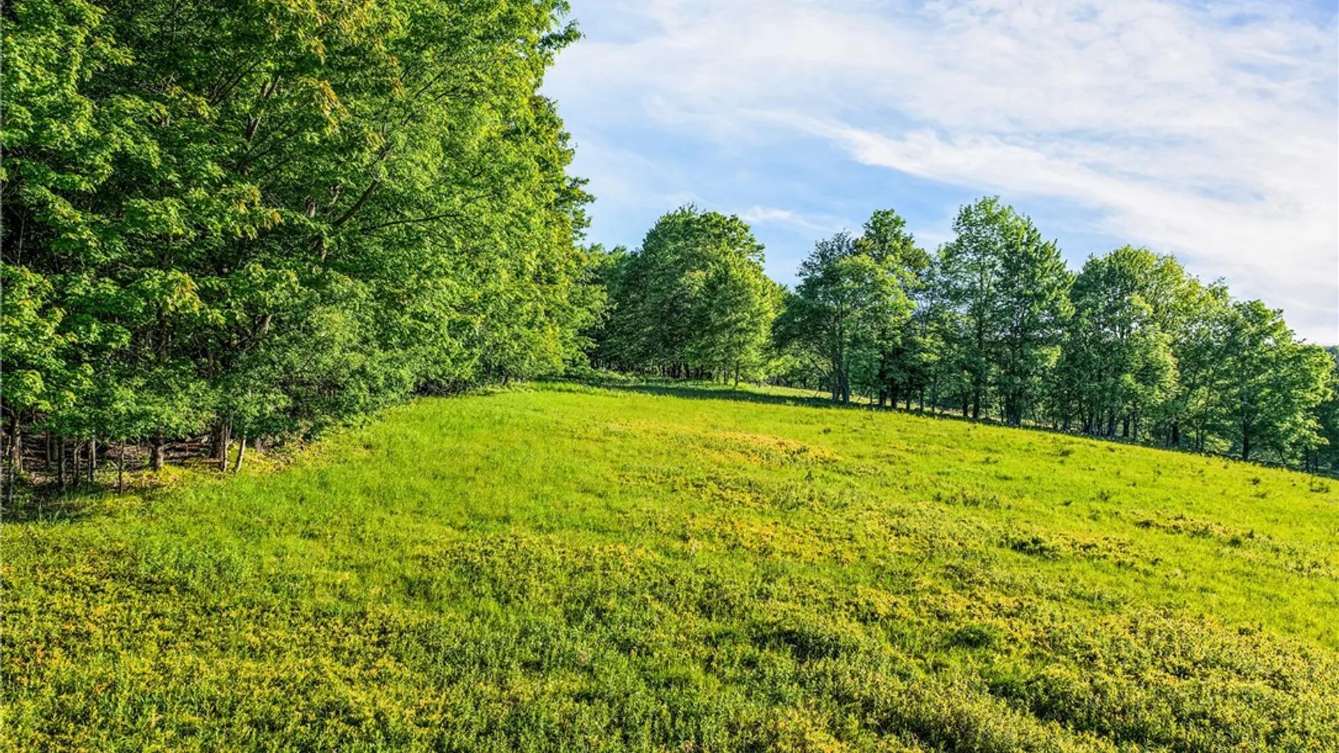 Property at Lots 19, 22, 25 Frank Slawson Road, Davenport, NY 13820 18