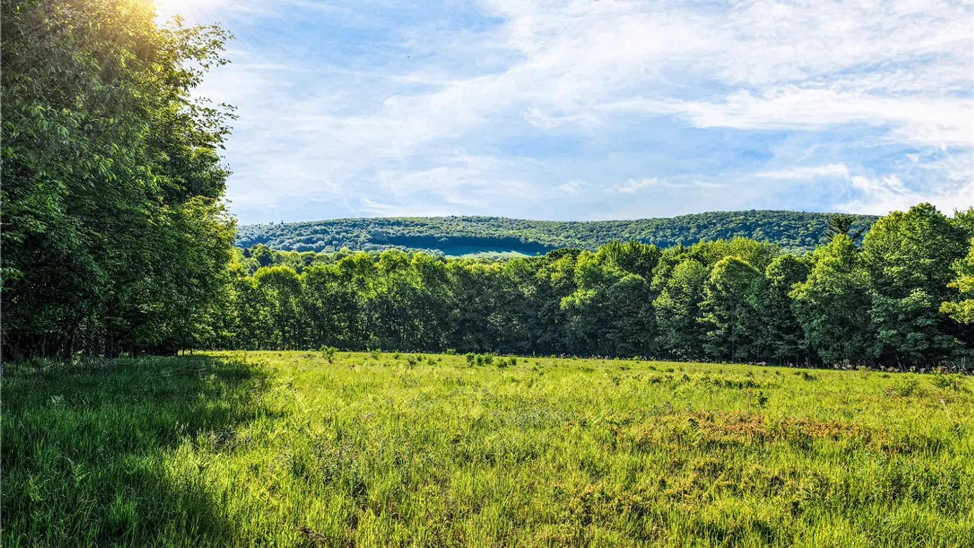 Property at Lots 19, 22, 25 Frank Slawson Road, Davenport, NY 13820 19