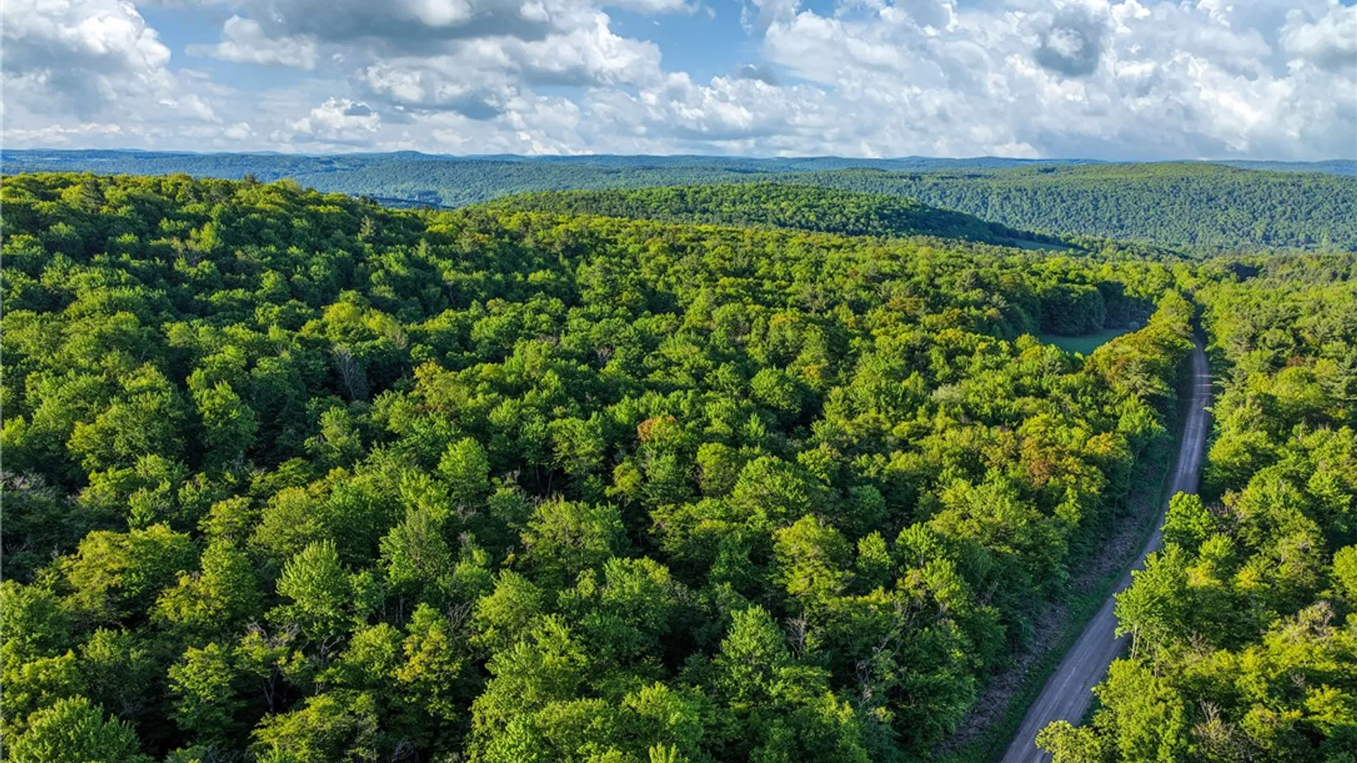 Property at Lots 19, 22, 25 Frank Slawson Road, Davenport, NY 13820 8