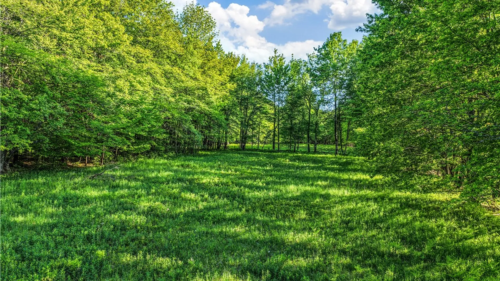 Property at Lots 19, 22, 25 Frank Slawson Road, Davenport, NY 13820 21