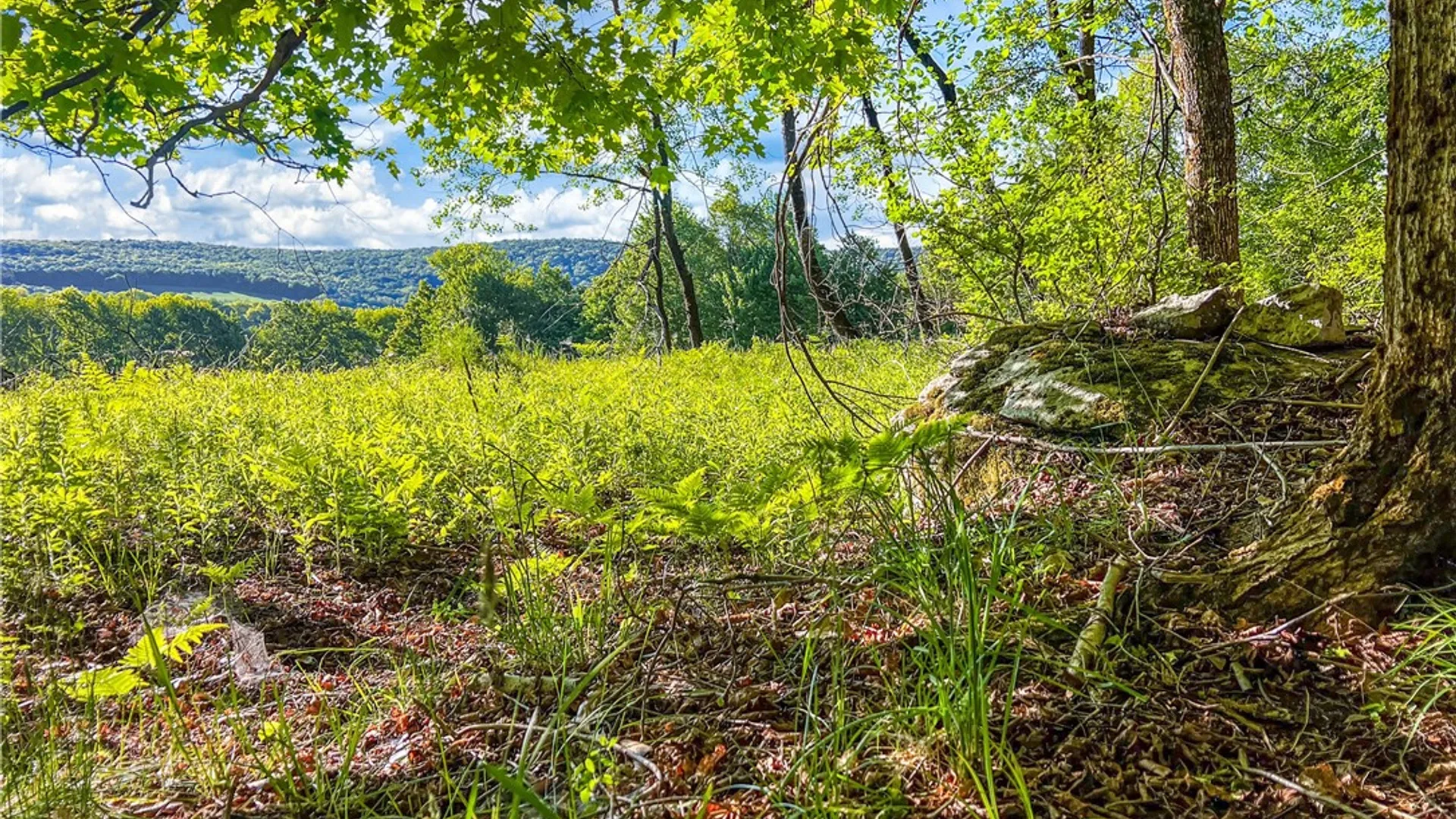 Property at Lots 19, 22, 25 Frank Slawson Road, Davenport, NY 13820 27