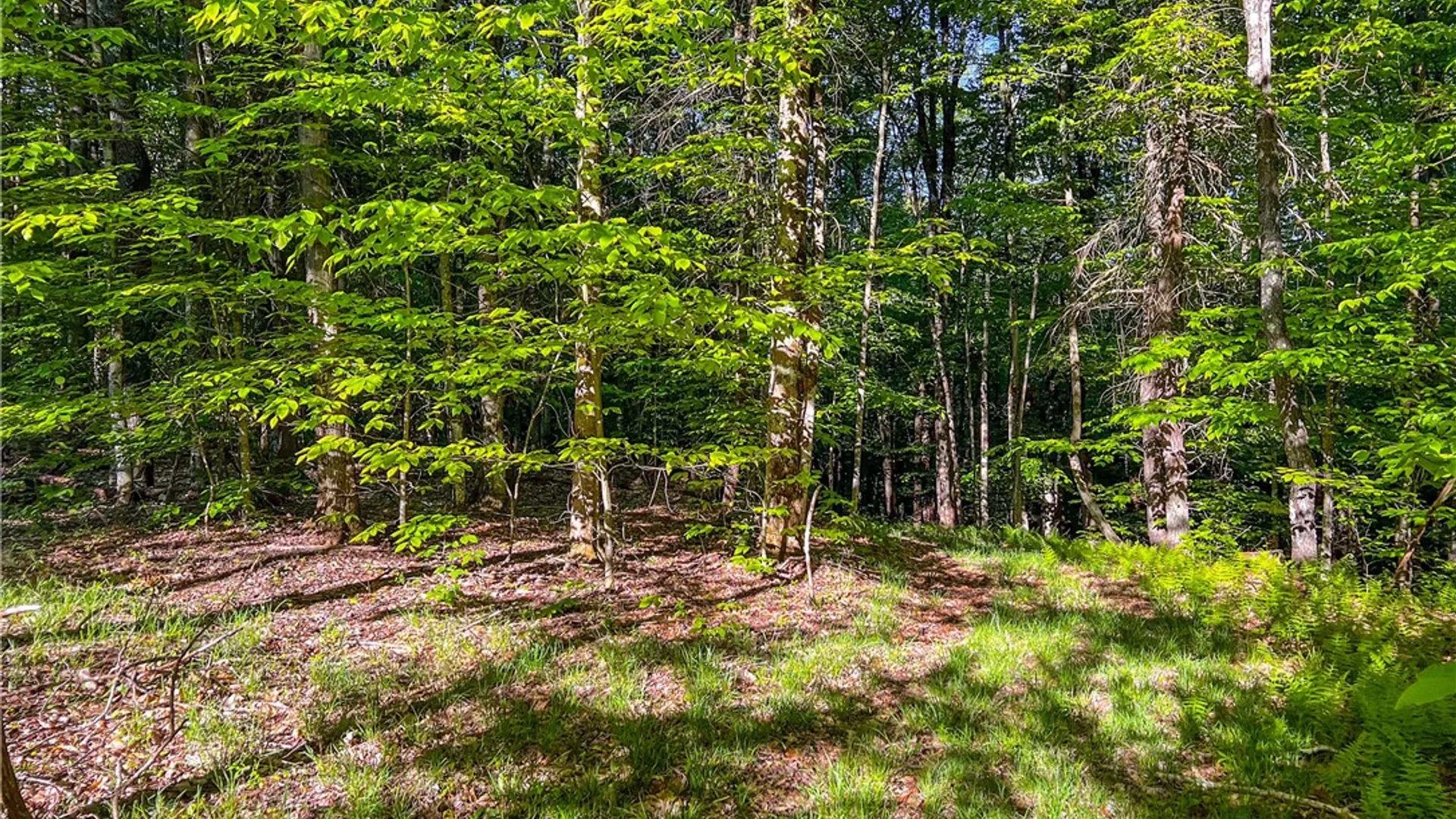 Property at Lots 19, 22, 25 Frank Slawson Road, Davenport, NY 13820 29
