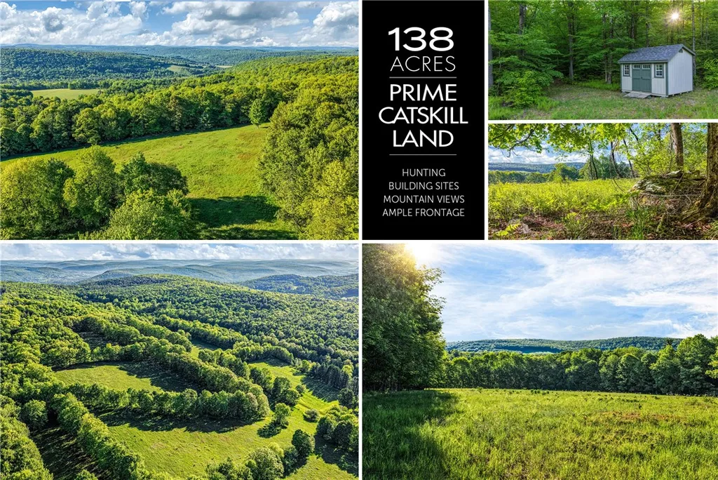 Property at Lots 19, 22, 25 Frank Slawson Road, Davenport, NY 13820