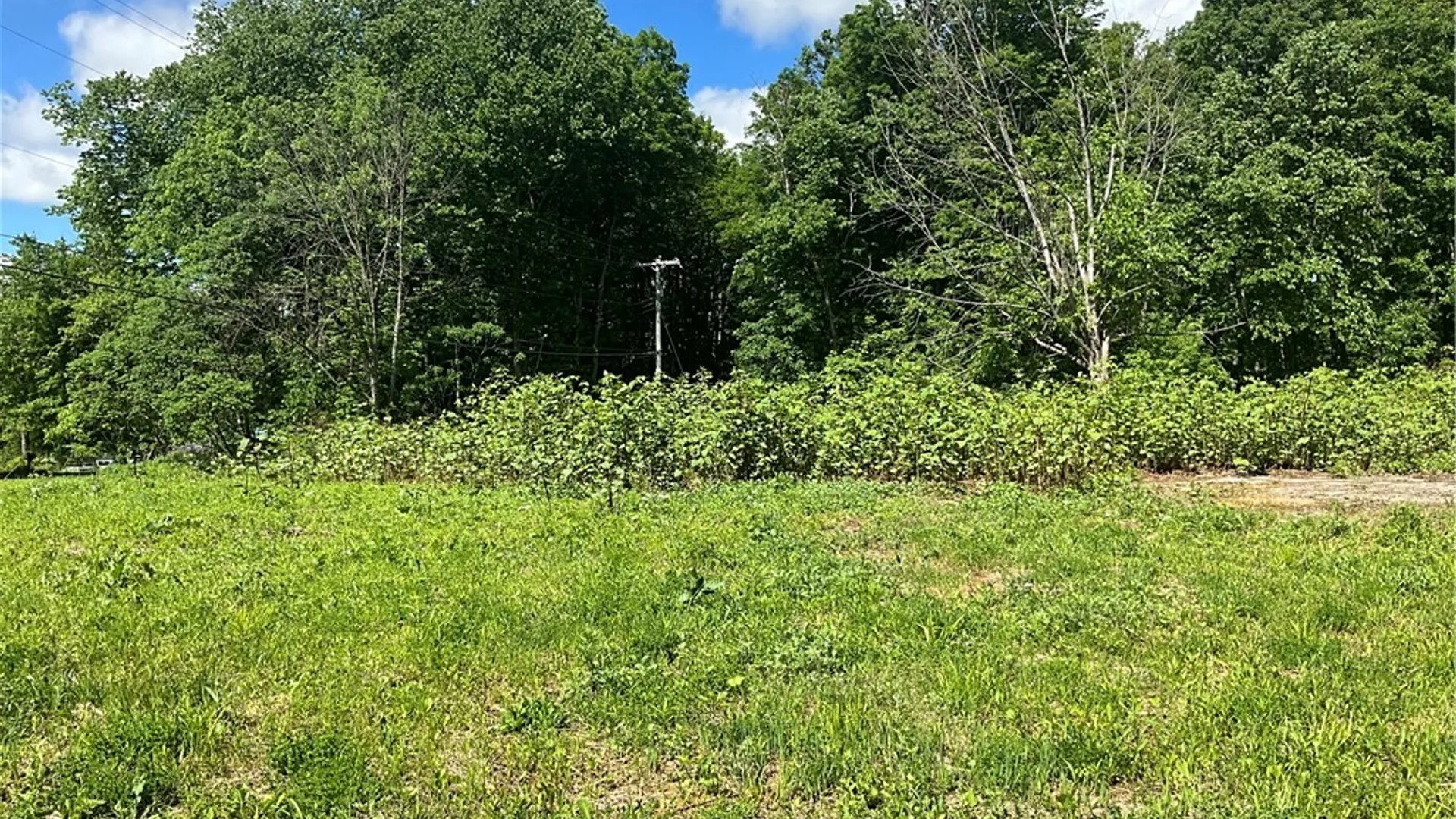Property at 6471 Crofoot Rd, Sempronius, NY 13118 4