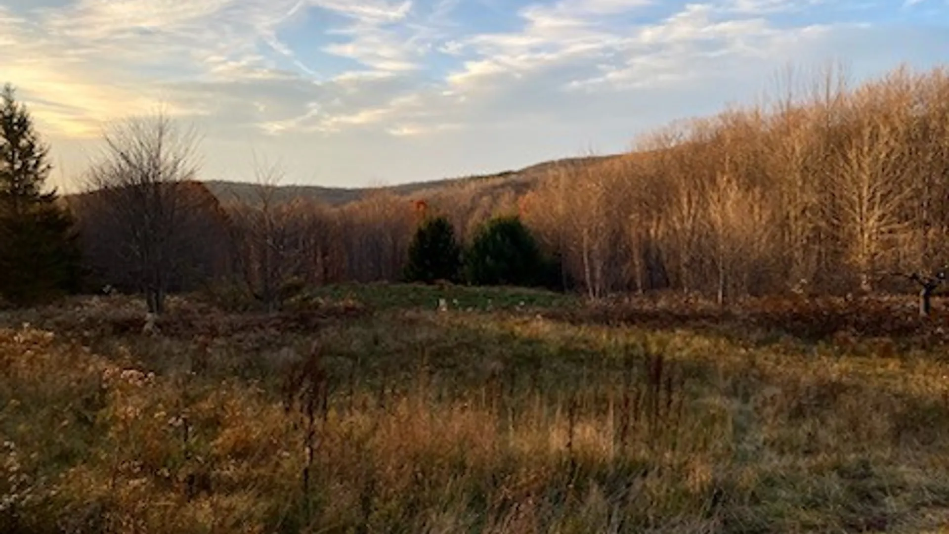 Property at 1855 Davis Hollow Road, Andes, NY 13731 3