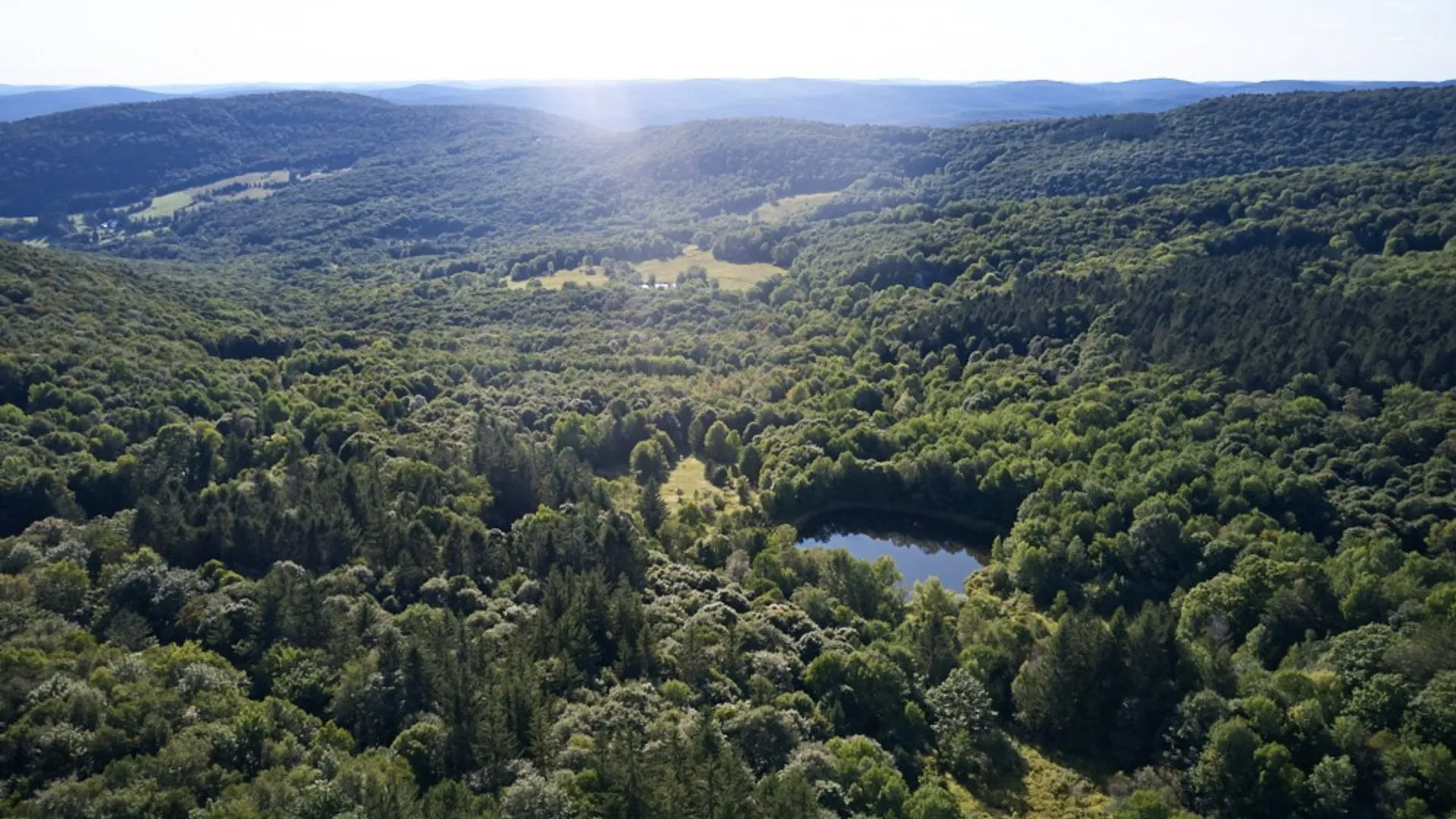 Property at 1855 Davis Hollow Road, Andes, NY 13731 6