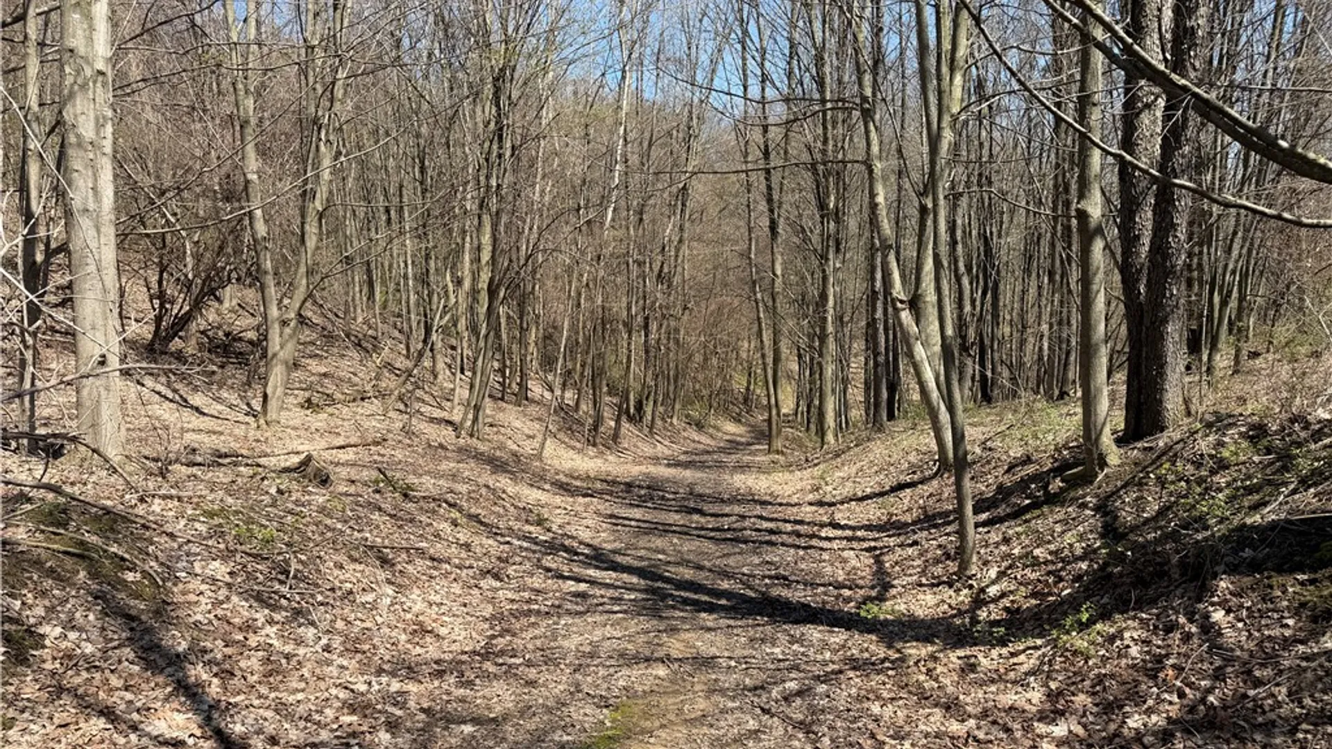 Property at 8921 Eelpot Road, Naples, NY 14512 14