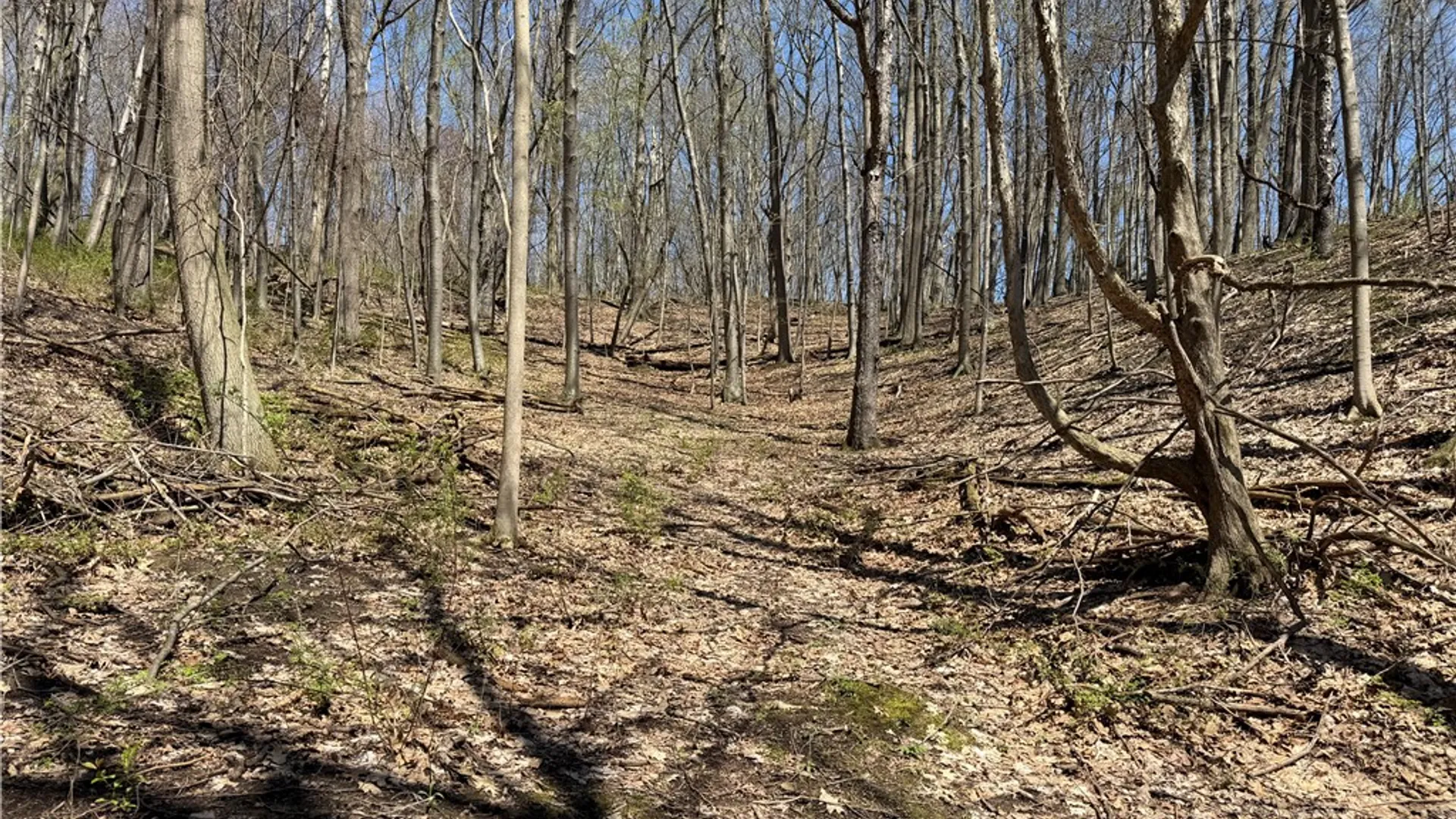 Property at 8921 Eelpot Road, Naples, NY 14512 15