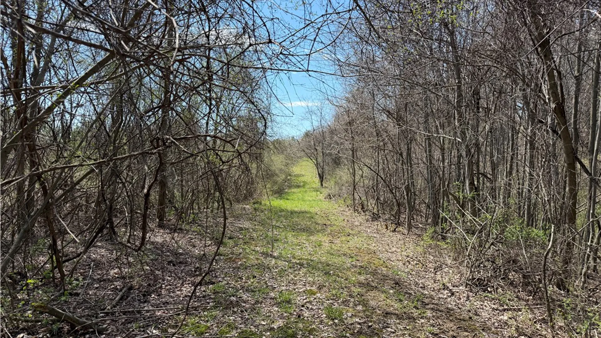 Property at 8921 Eelpot Road, Naples, NY 14512 19