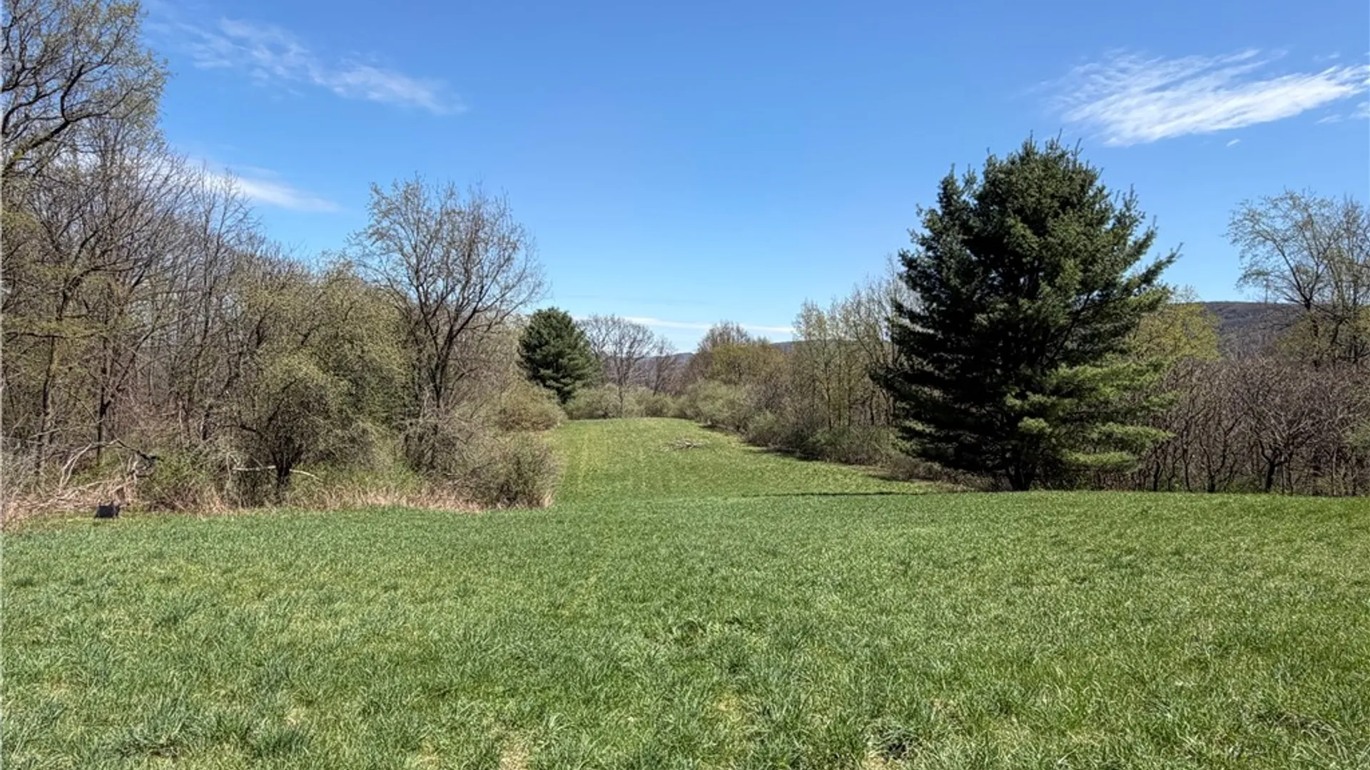 Property at 8921 Eelpot Road, Naples, NY 14512 17