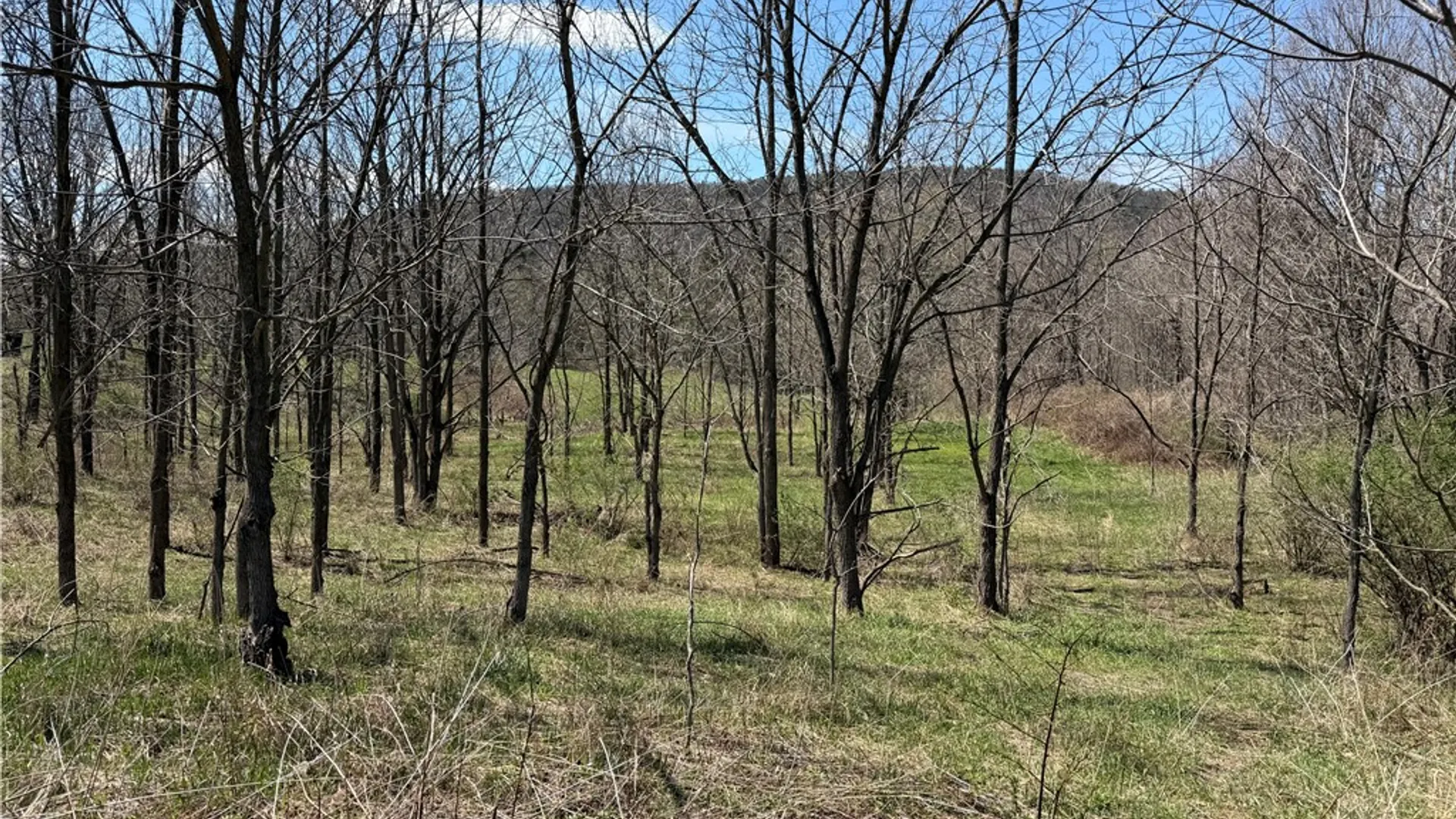 Property at 8921 Eelpot Road, Naples, NY 14512 18