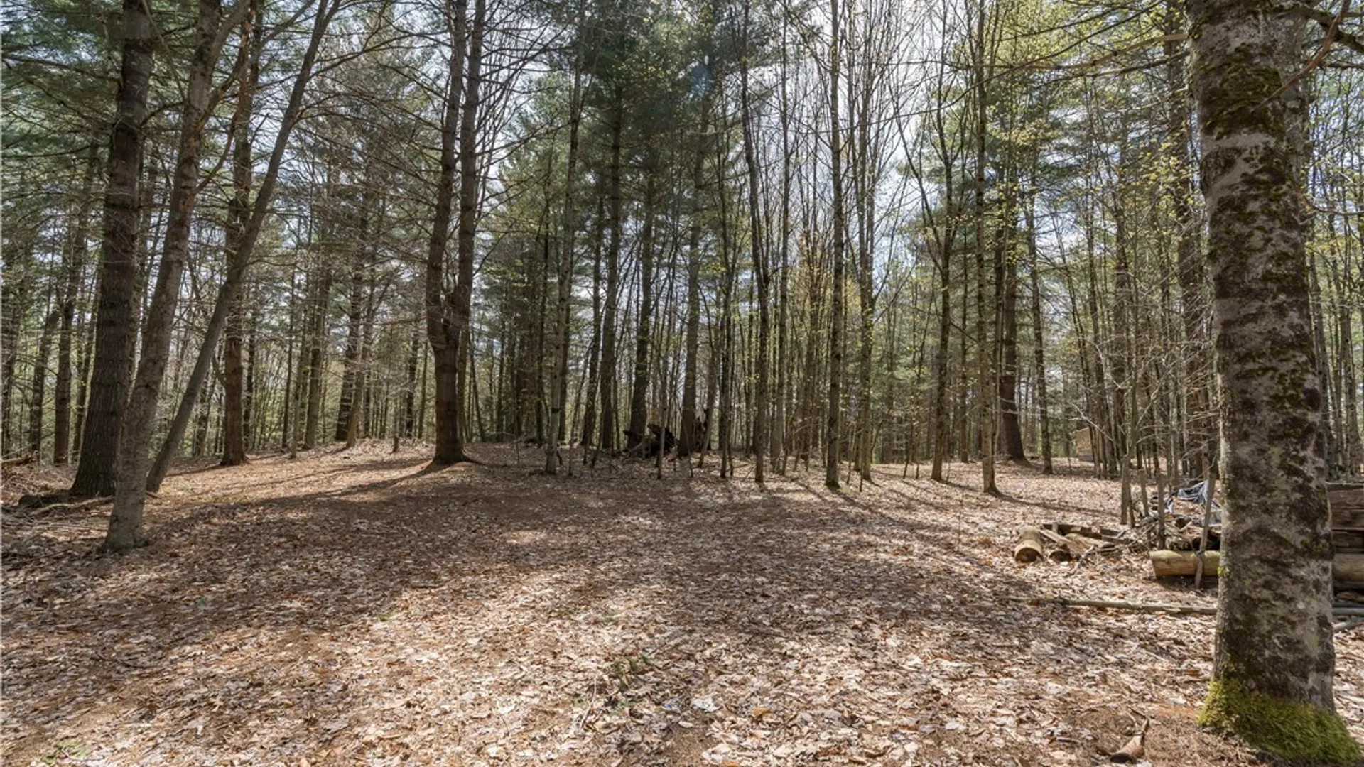 Property at 6325 S Chases Lake Road, Greig, NY 13343 6