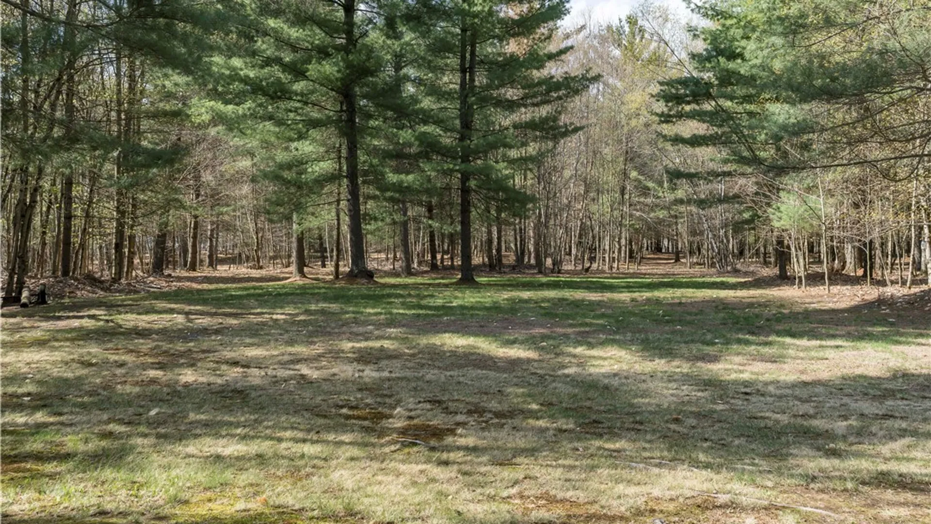 Property at 6325 S Chases Lake Road, Greig, NY 13343 29