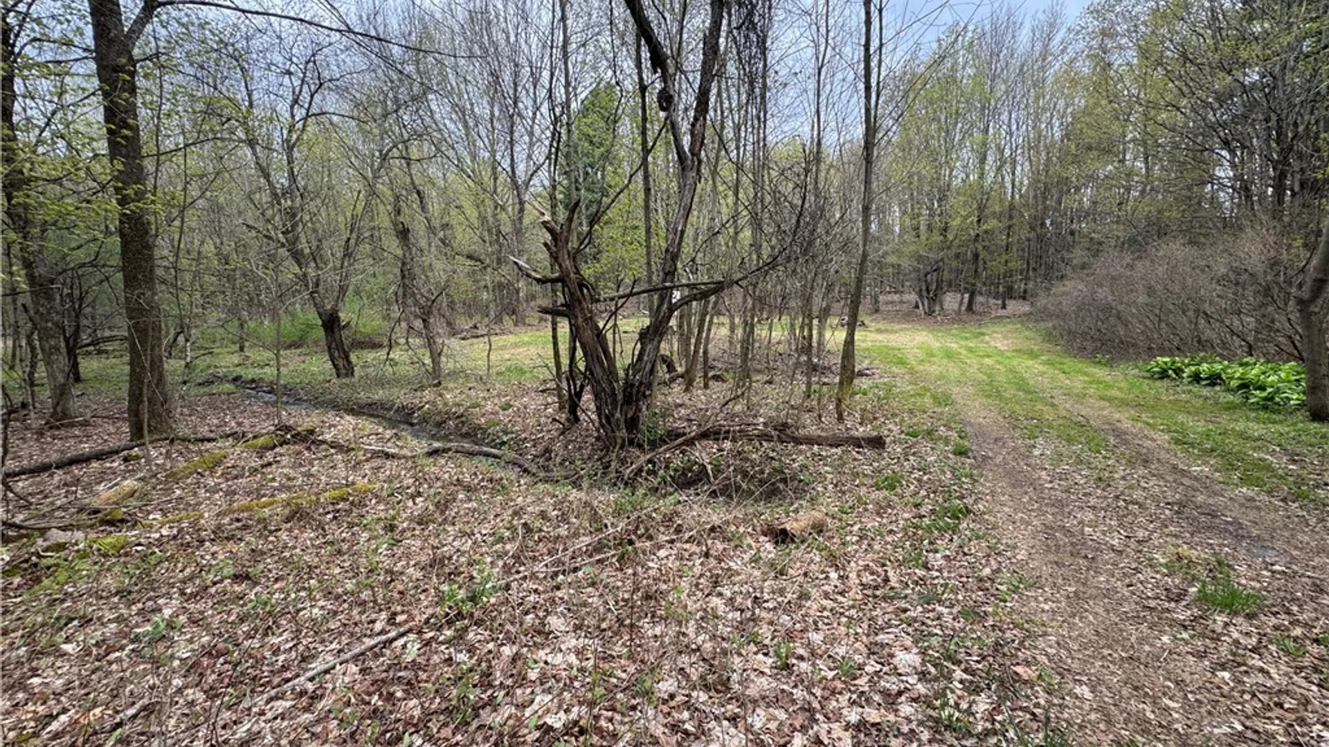 Property at 0 Berry Drive, Lorraine, NY 13659 3