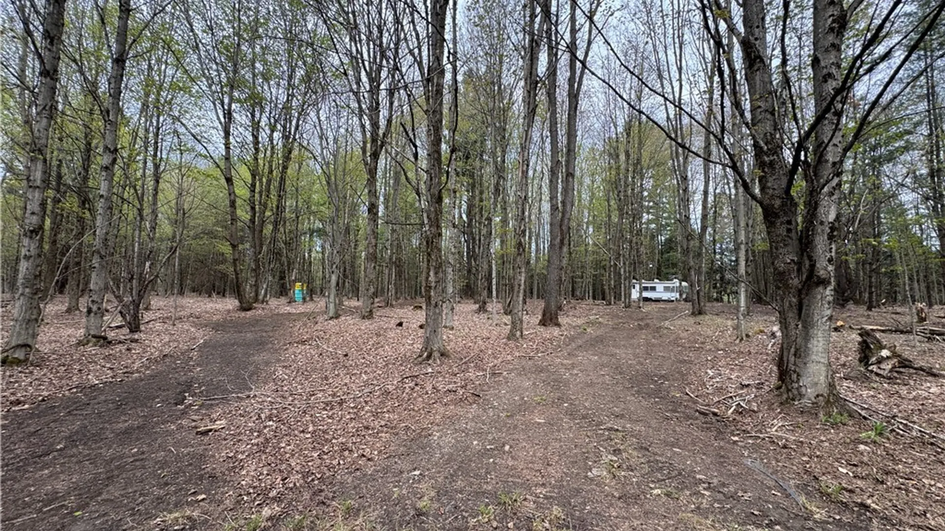 Property at 0 Berry Drive, Lorraine, NY 13659 10