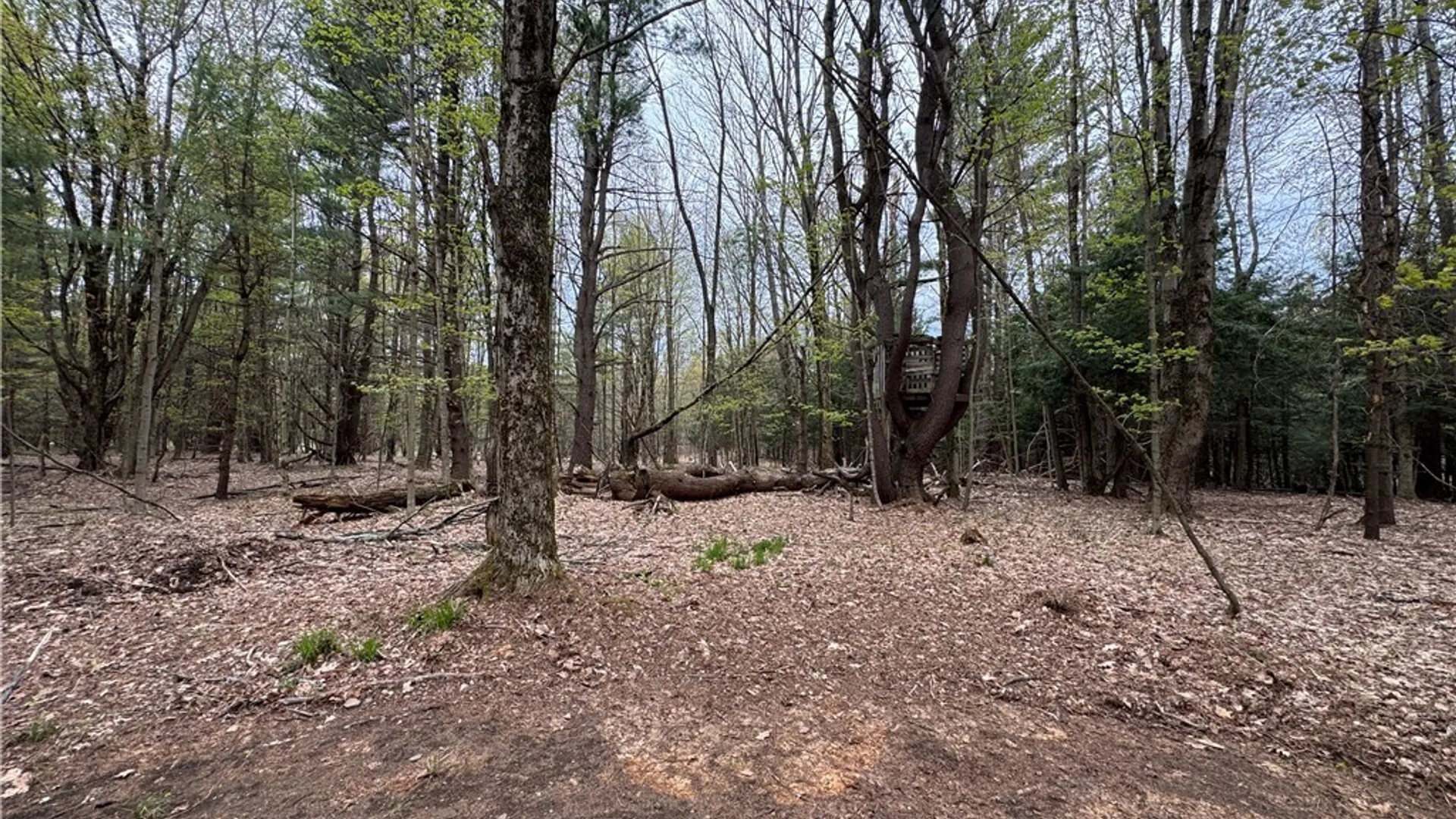 Property at 0 Berry Drive, Lorraine, NY 13659 13