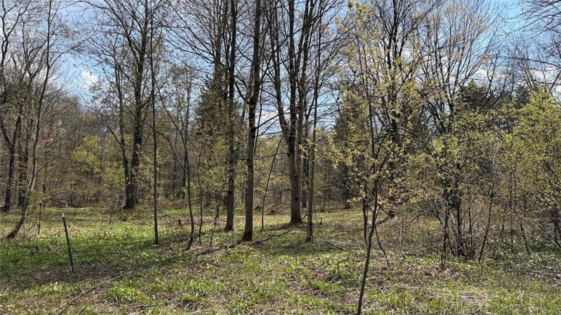 Property at 1438 Gregory Road, Osceola, NY 13316 6
